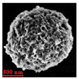 Nanomaterials 10 01075 i013