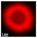Nanomaterials 10 01075 i014