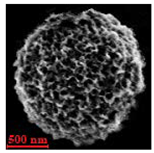 Nanomaterials 10 01075 i015