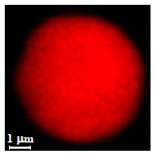 Nanomaterials 10 01075 i017