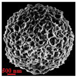 Nanomaterials 10 01075 i020