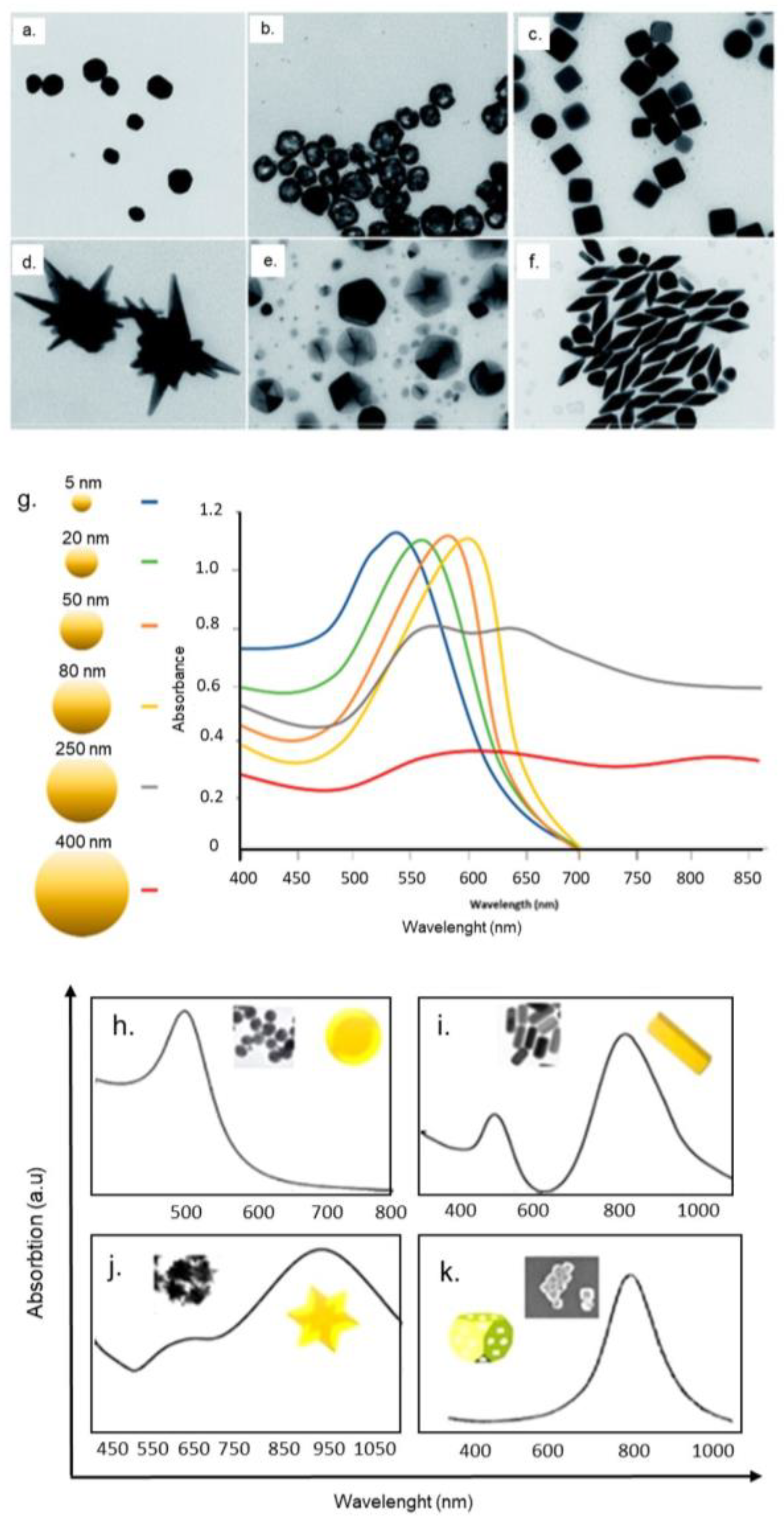 Nanomaterials 10 01083 g001