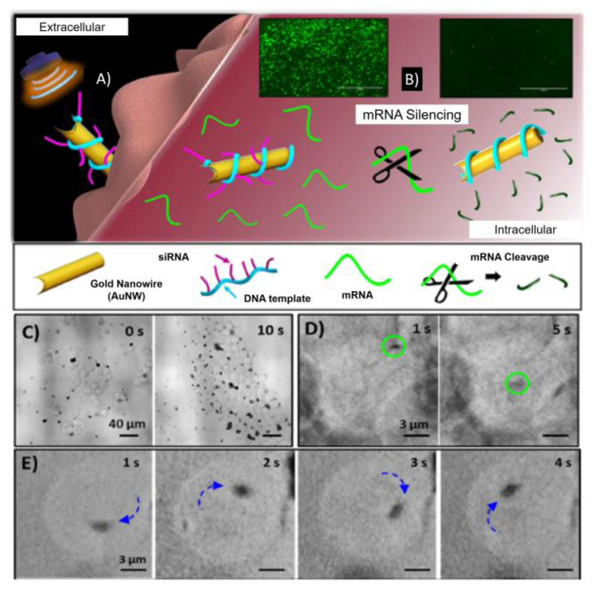 Nanomaterials 10 01083 g005