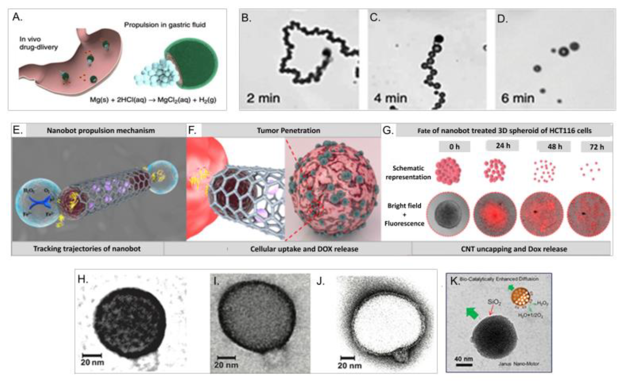 Nanomaterials 10 01083 g006
