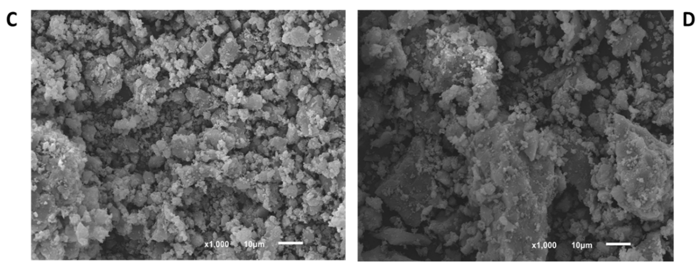 Nanomaterials 10 01089 g002b