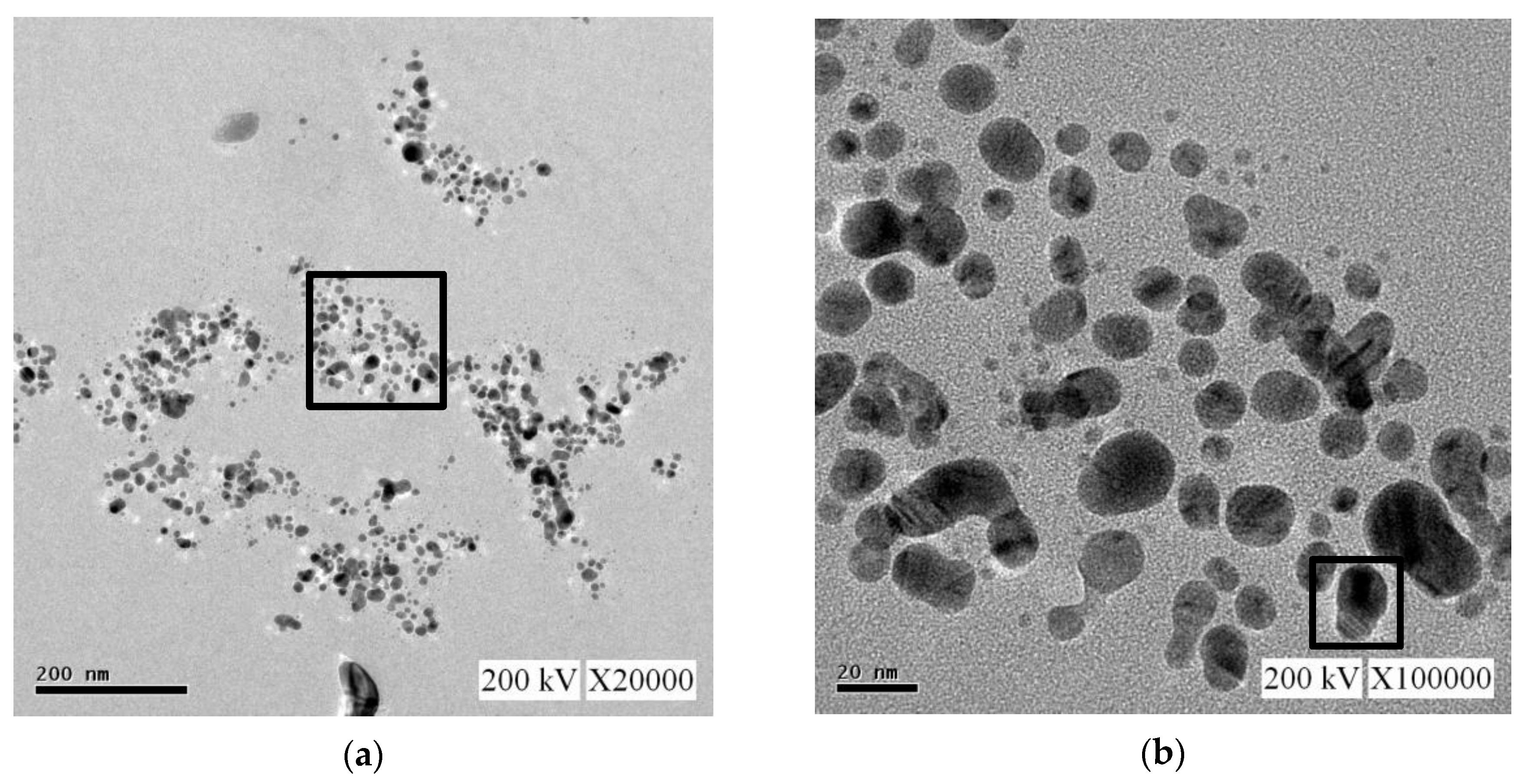 Nanomaterials 10 01091 g012a Nanomaterials 10 01091 g012a