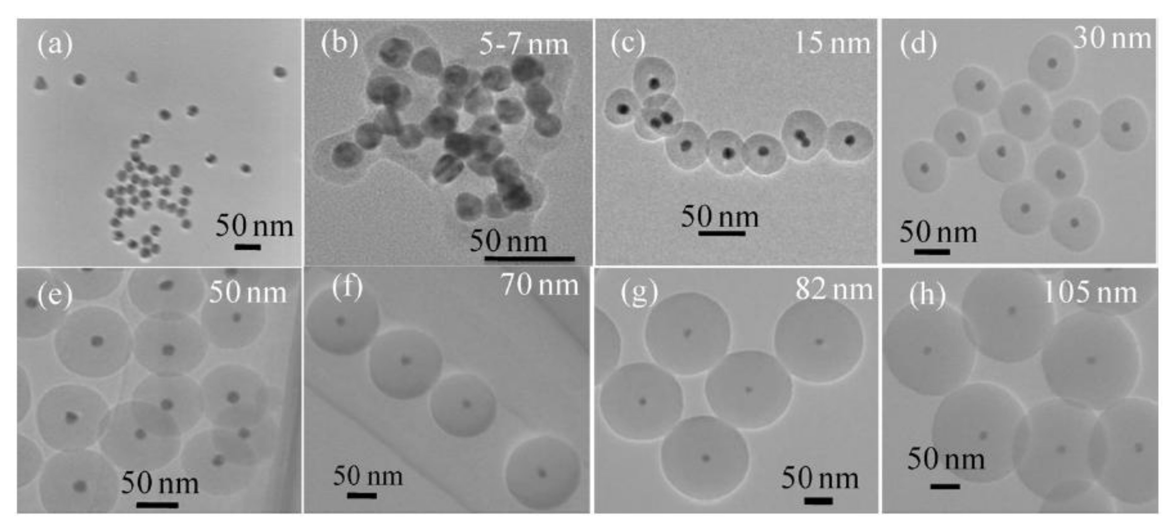 Nanomaterials 10 01092 g001