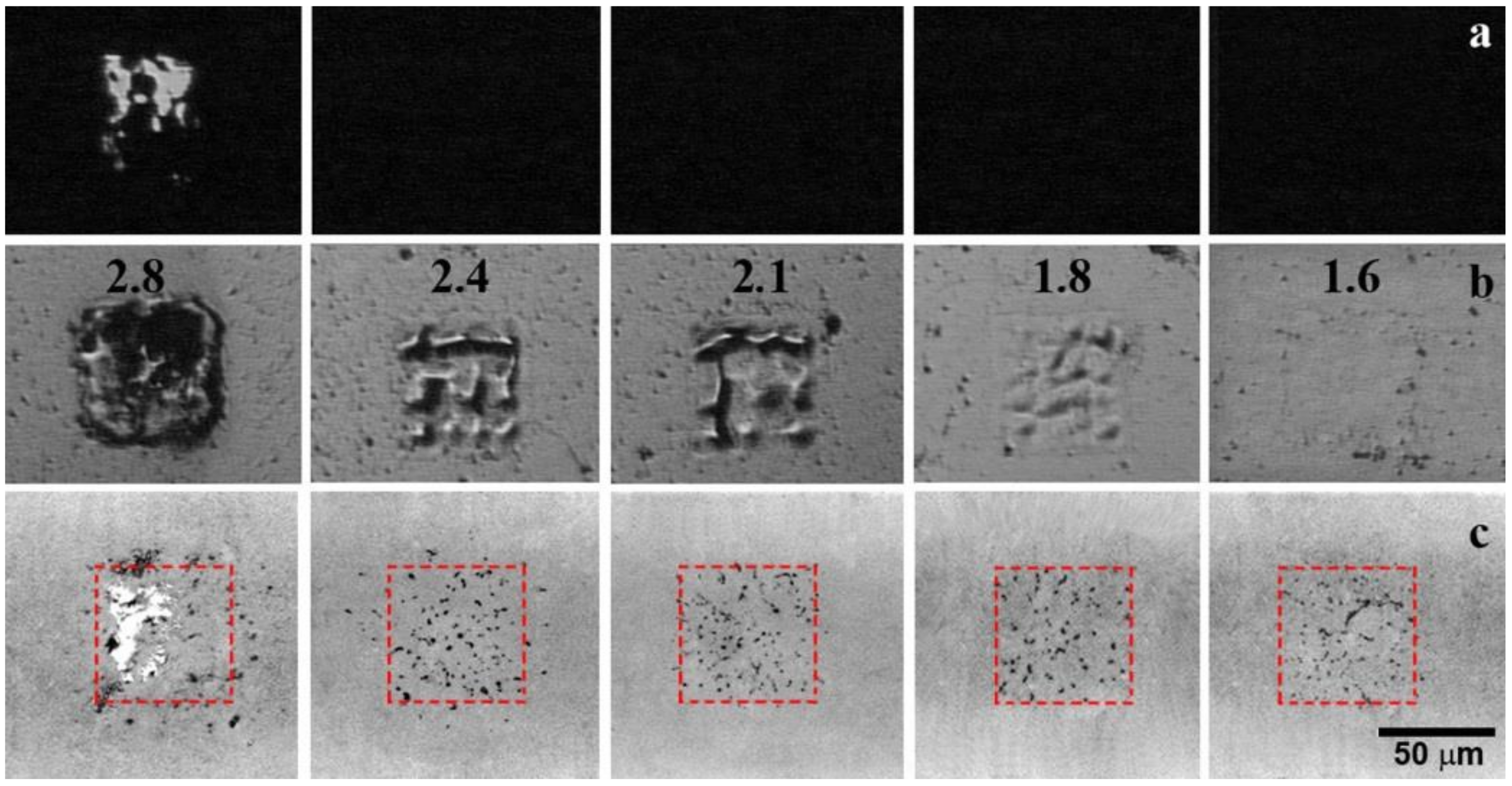 Nanomaterials 10 01103 g004 Nanomaterials 10 01103 g004