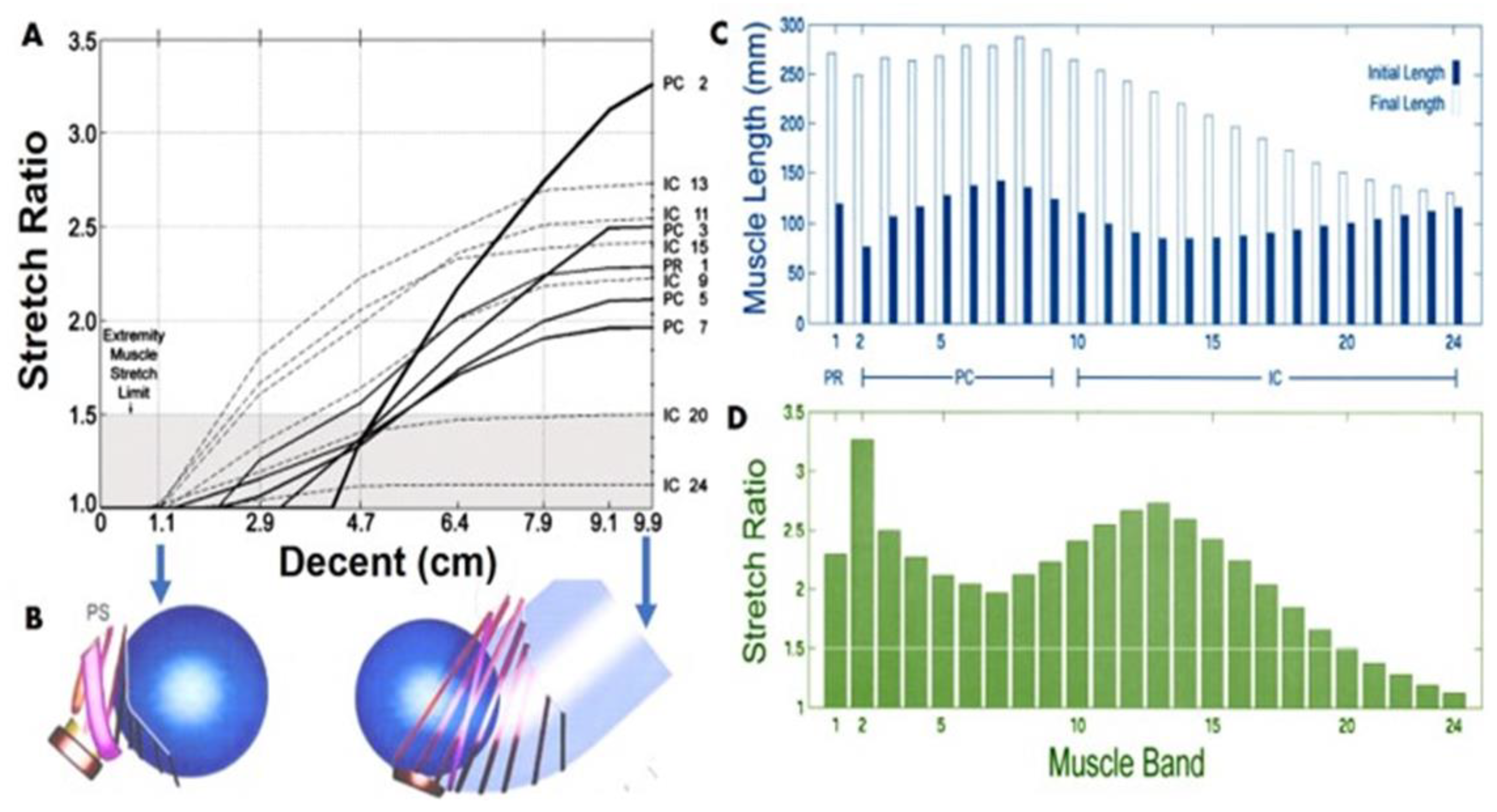 Nanomaterials 10 01120 g001