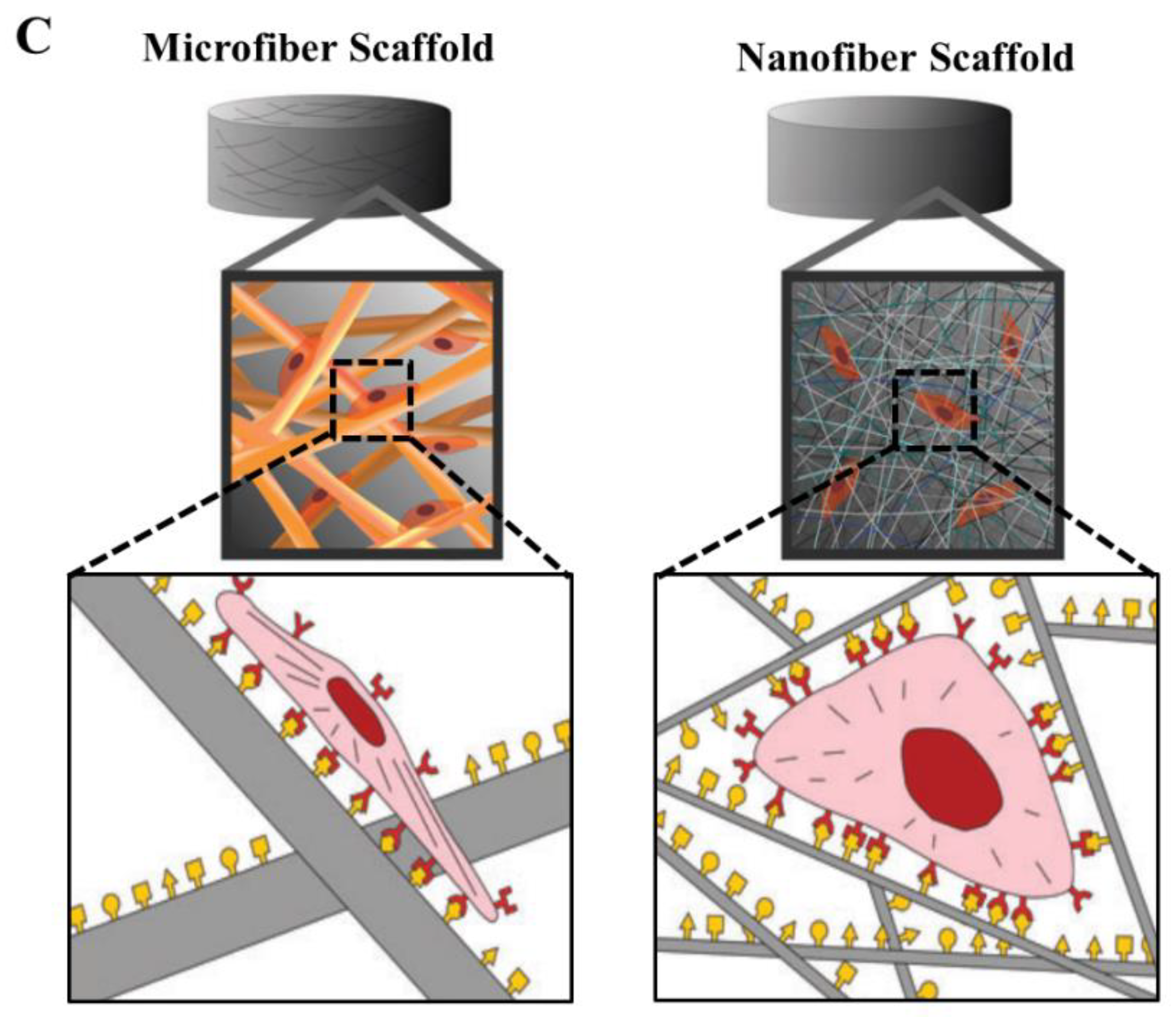 Nanomaterials 10 01120 g004b