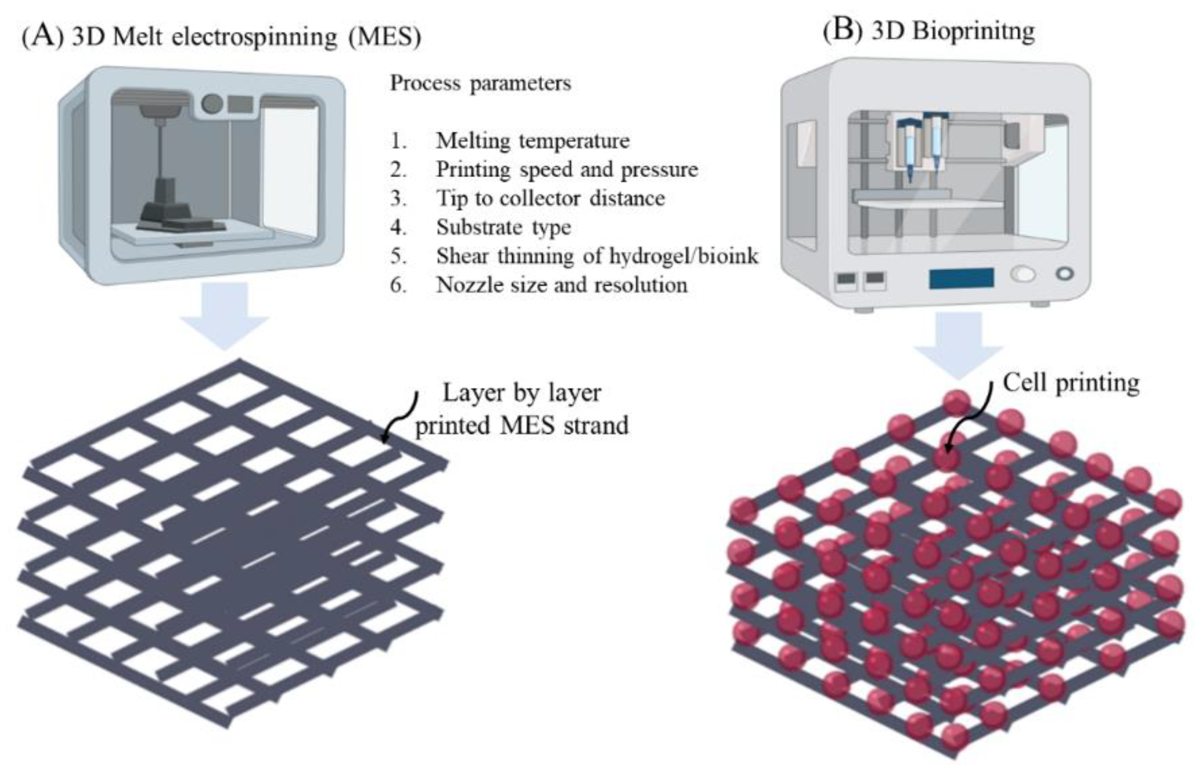 Nanomaterials 10 01120 g006