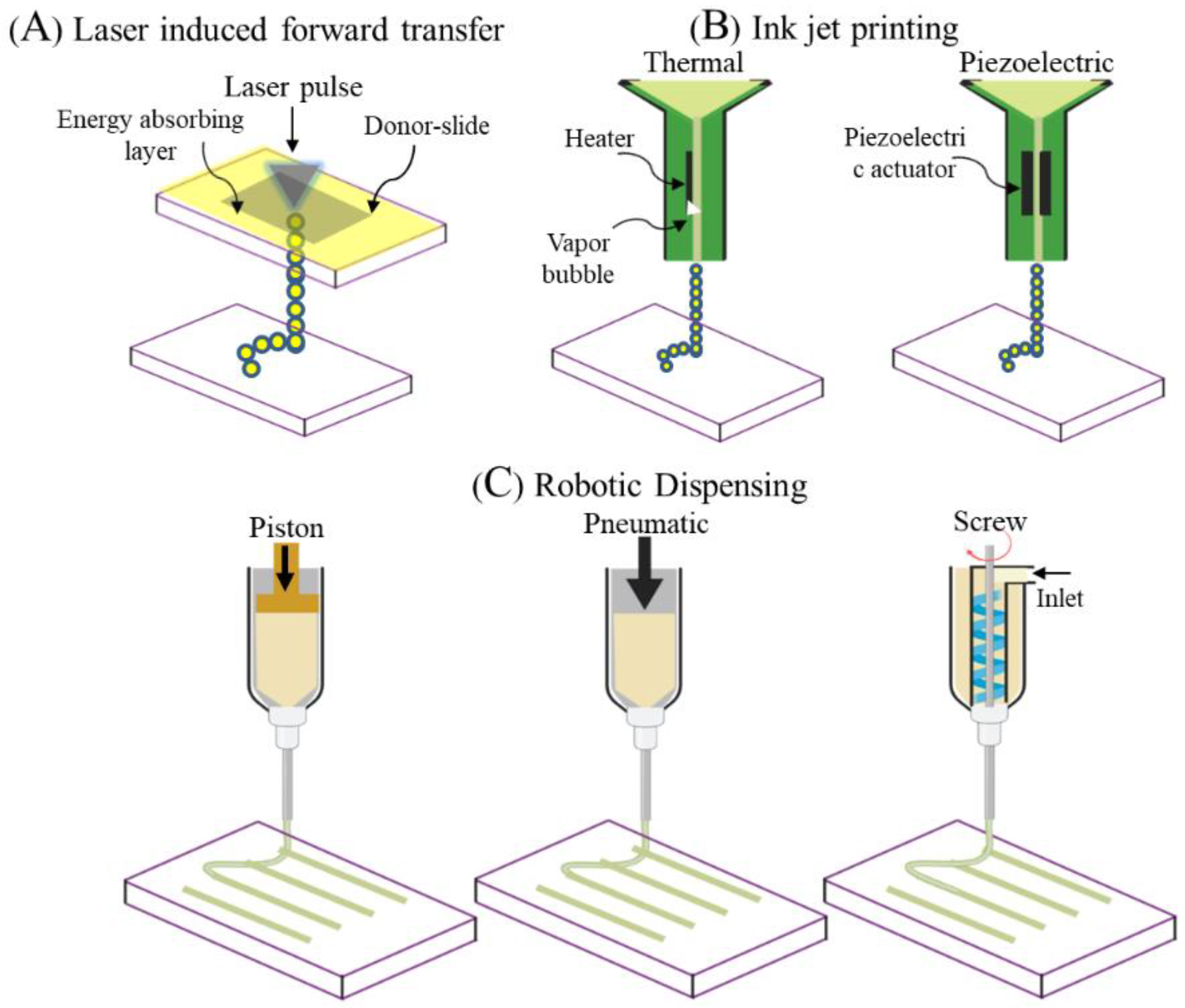 Nanomaterials 10 01120 g007