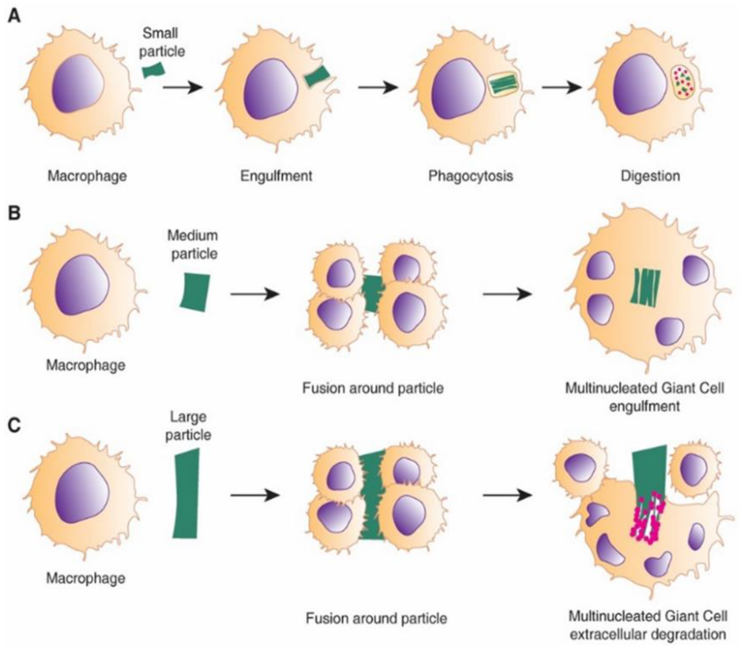 Nanomaterials 10 01120 g009
