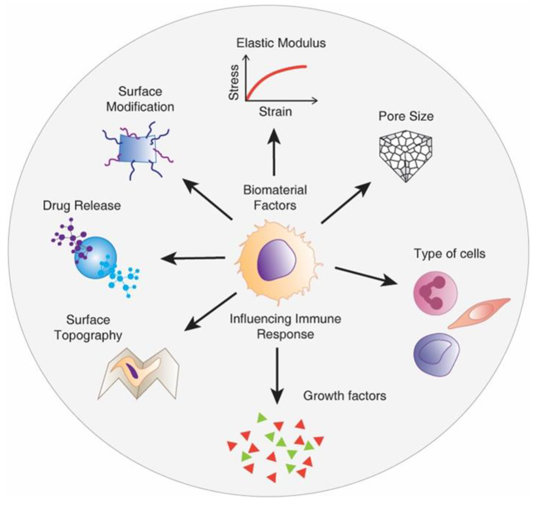Nanomaterials 10 01120 g010