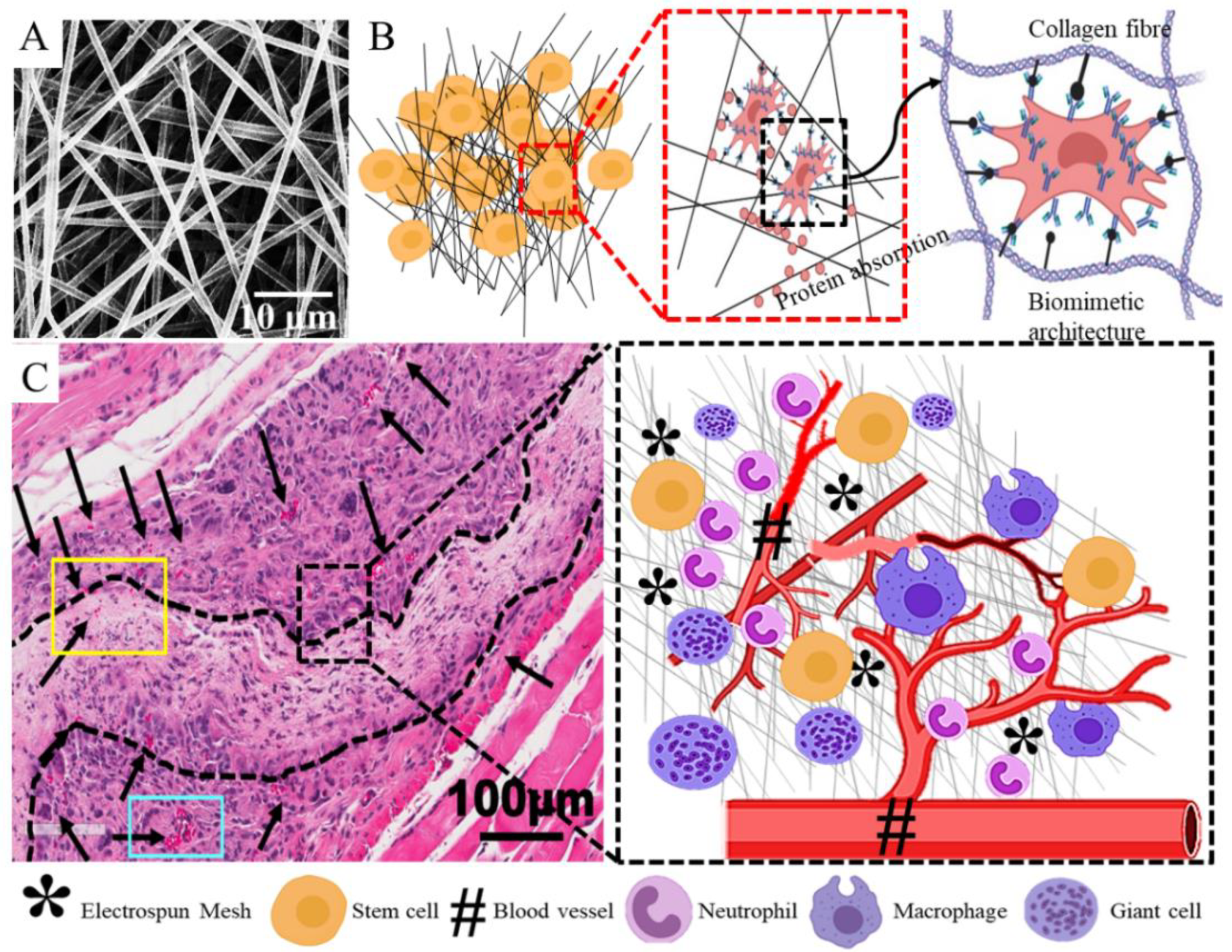 Nanomaterials 10 01120 g011