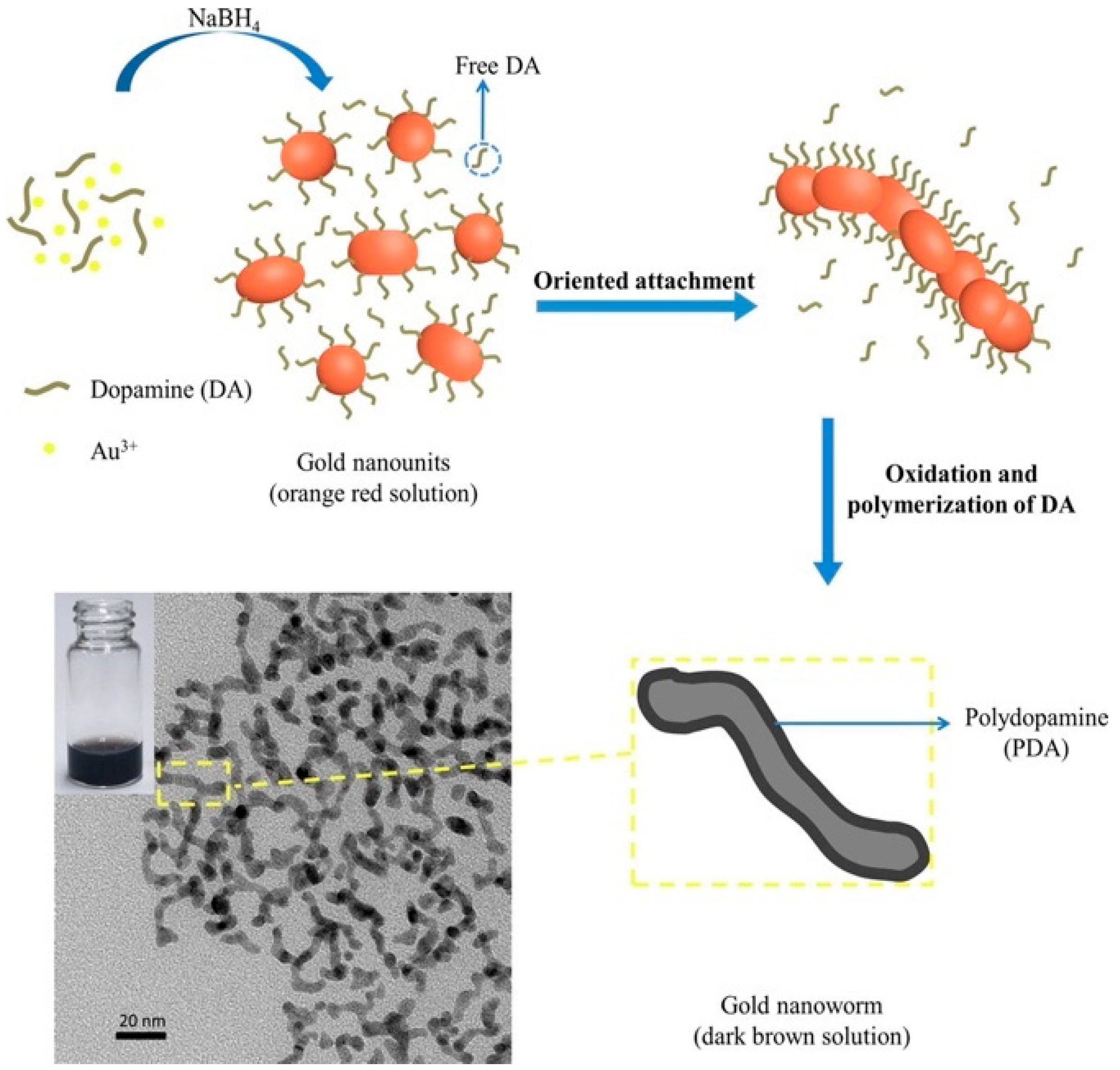 Nanomaterials 10 01123 g001