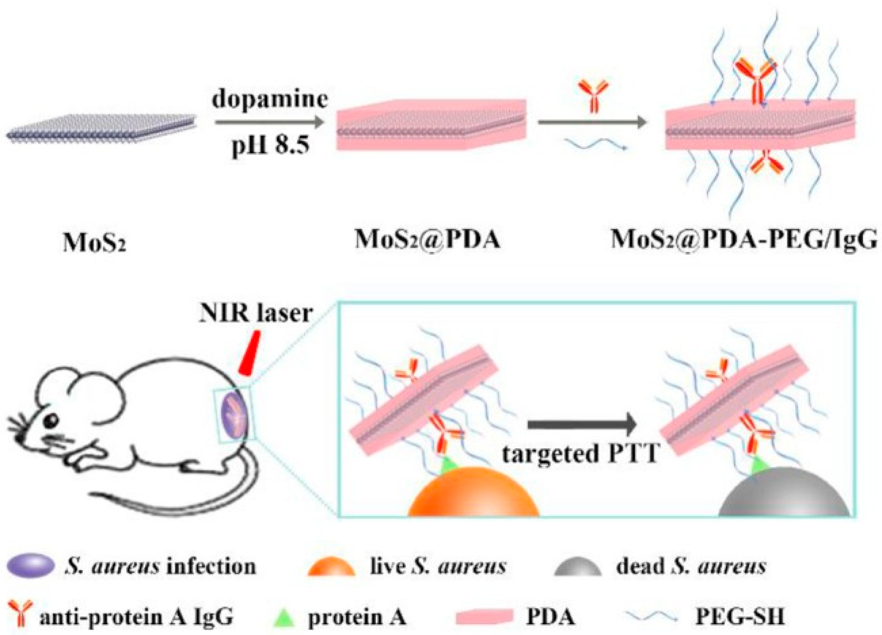 Nanomaterials 10 01123 g003
