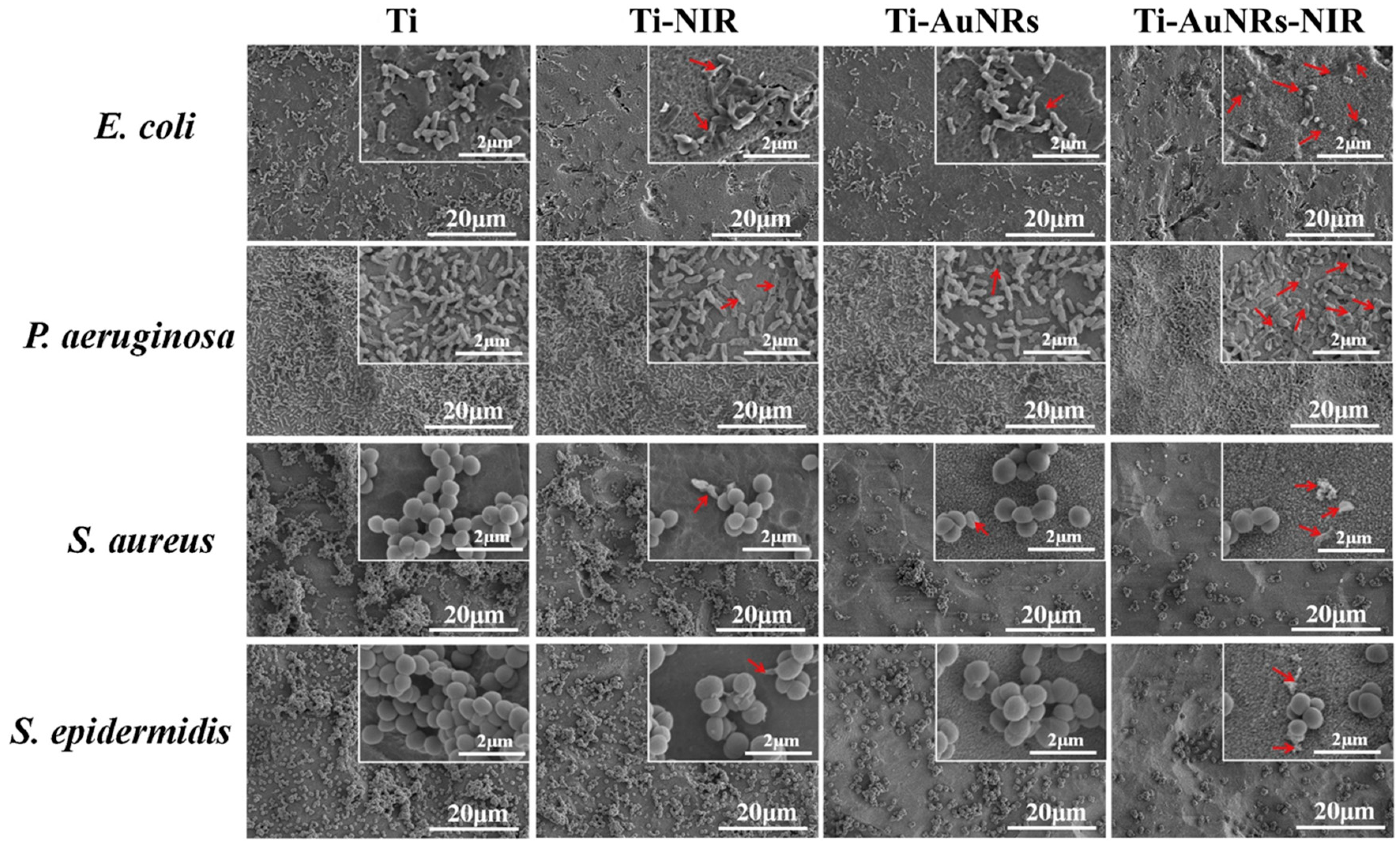 Nanomaterials 10 01123 g005