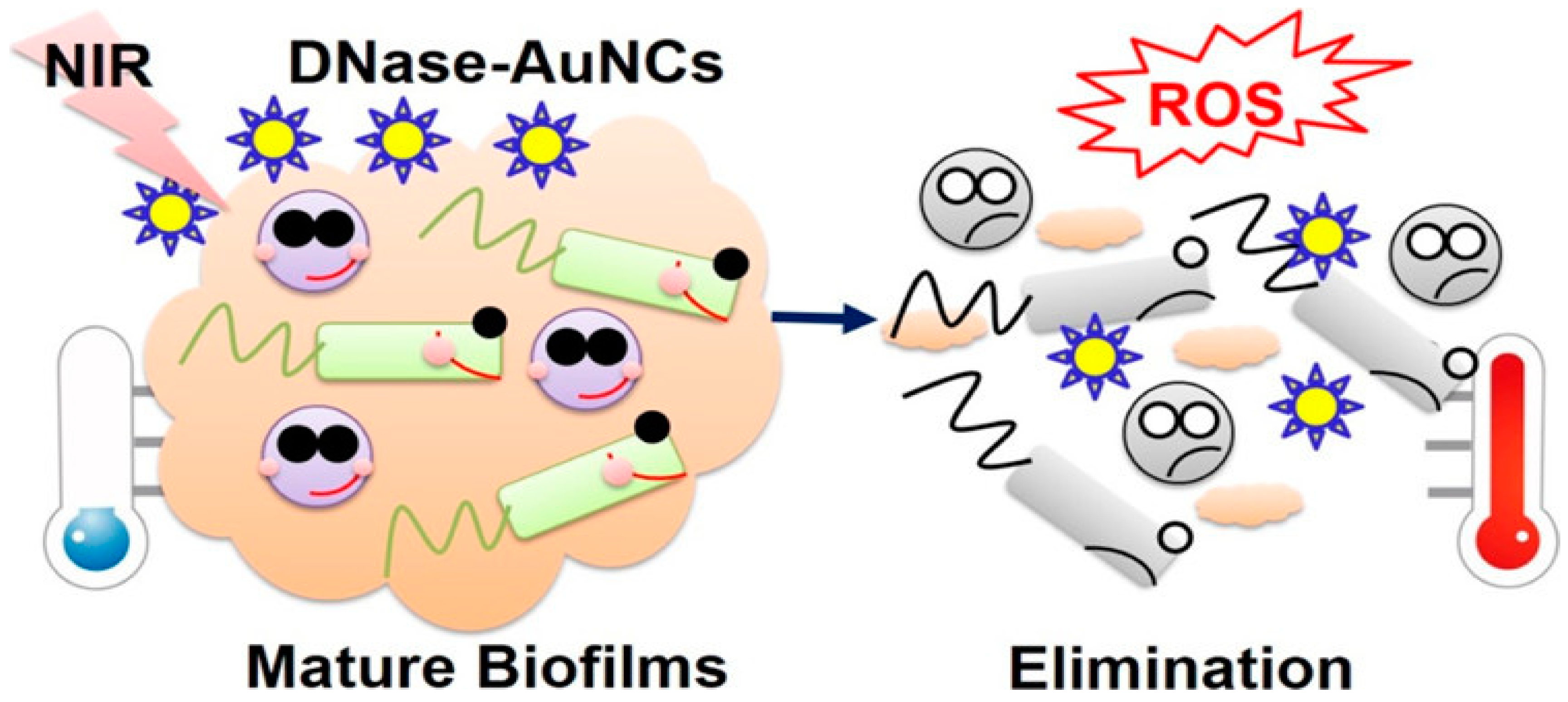 Nanomaterials 10 01123 g006