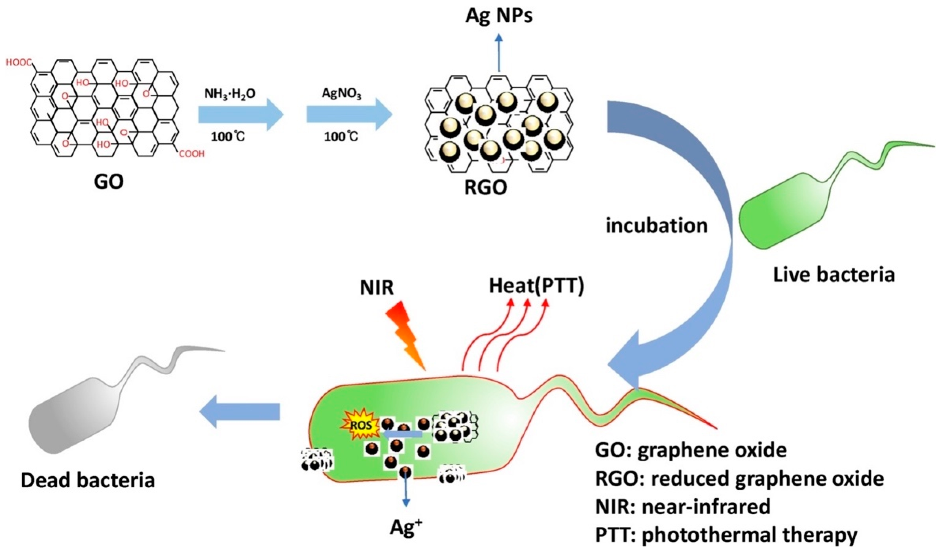 Nanomaterials 10 01123 g009