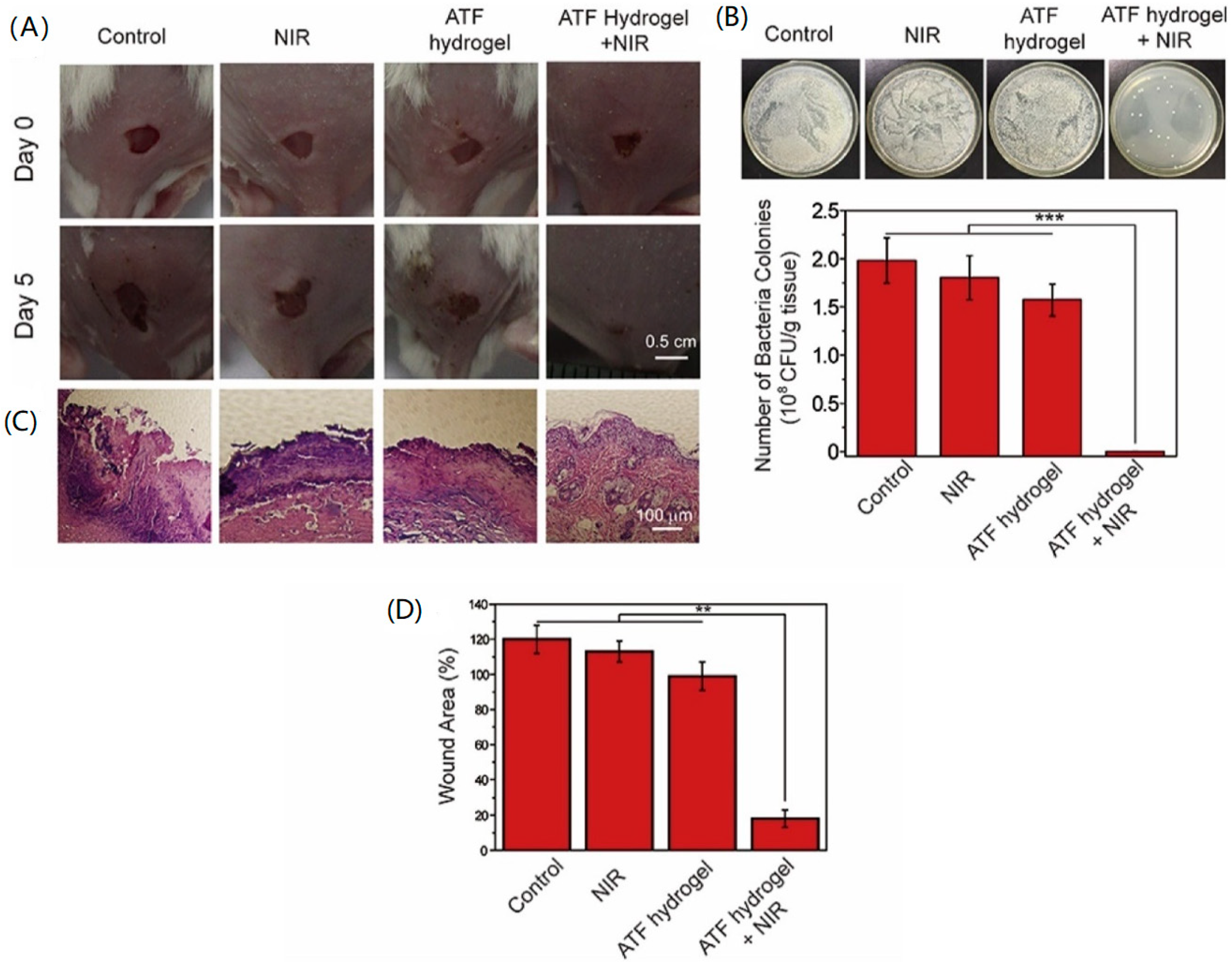 Nanomaterials 10 01123 g011