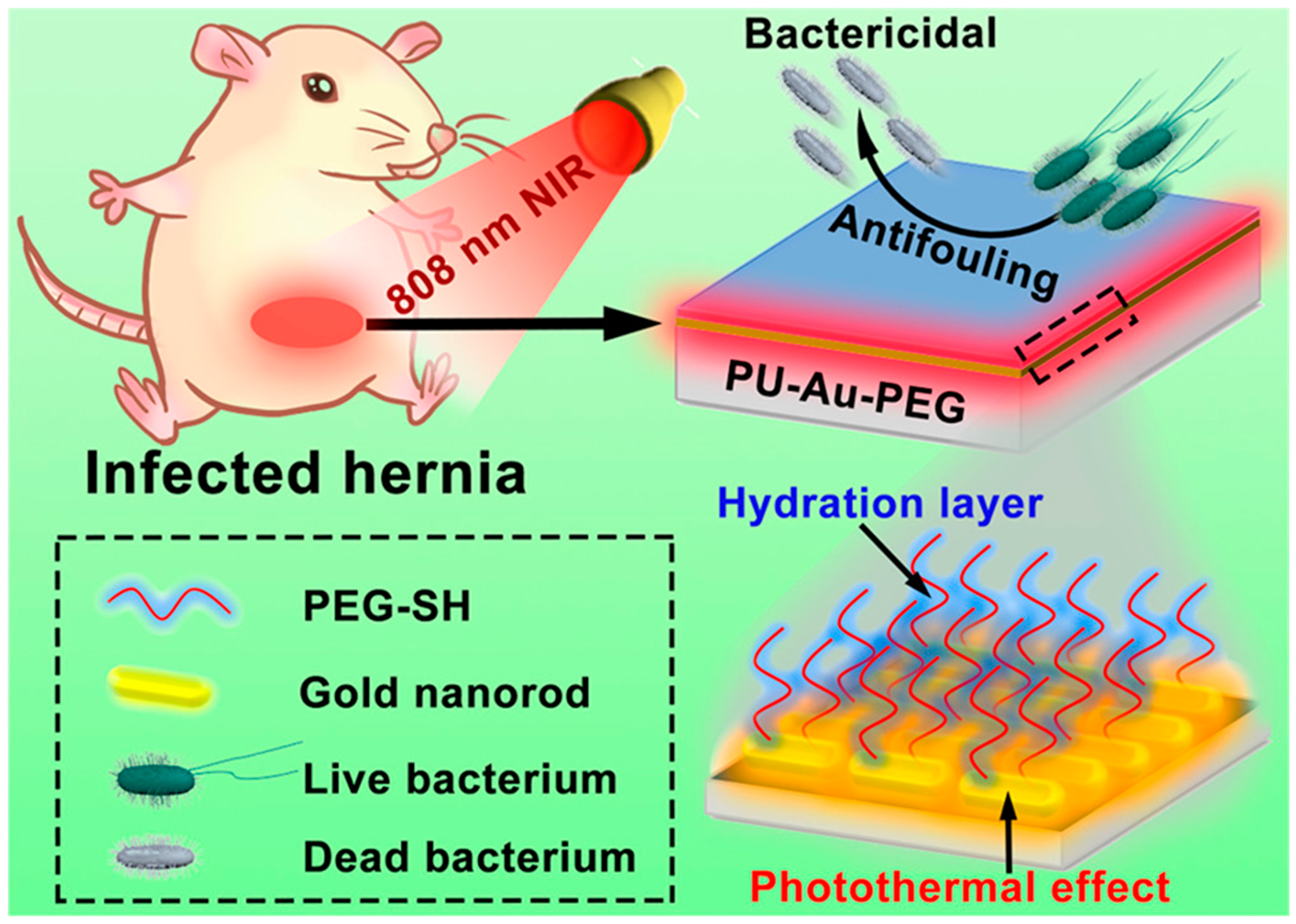 Nanomaterials 10 01123 g012