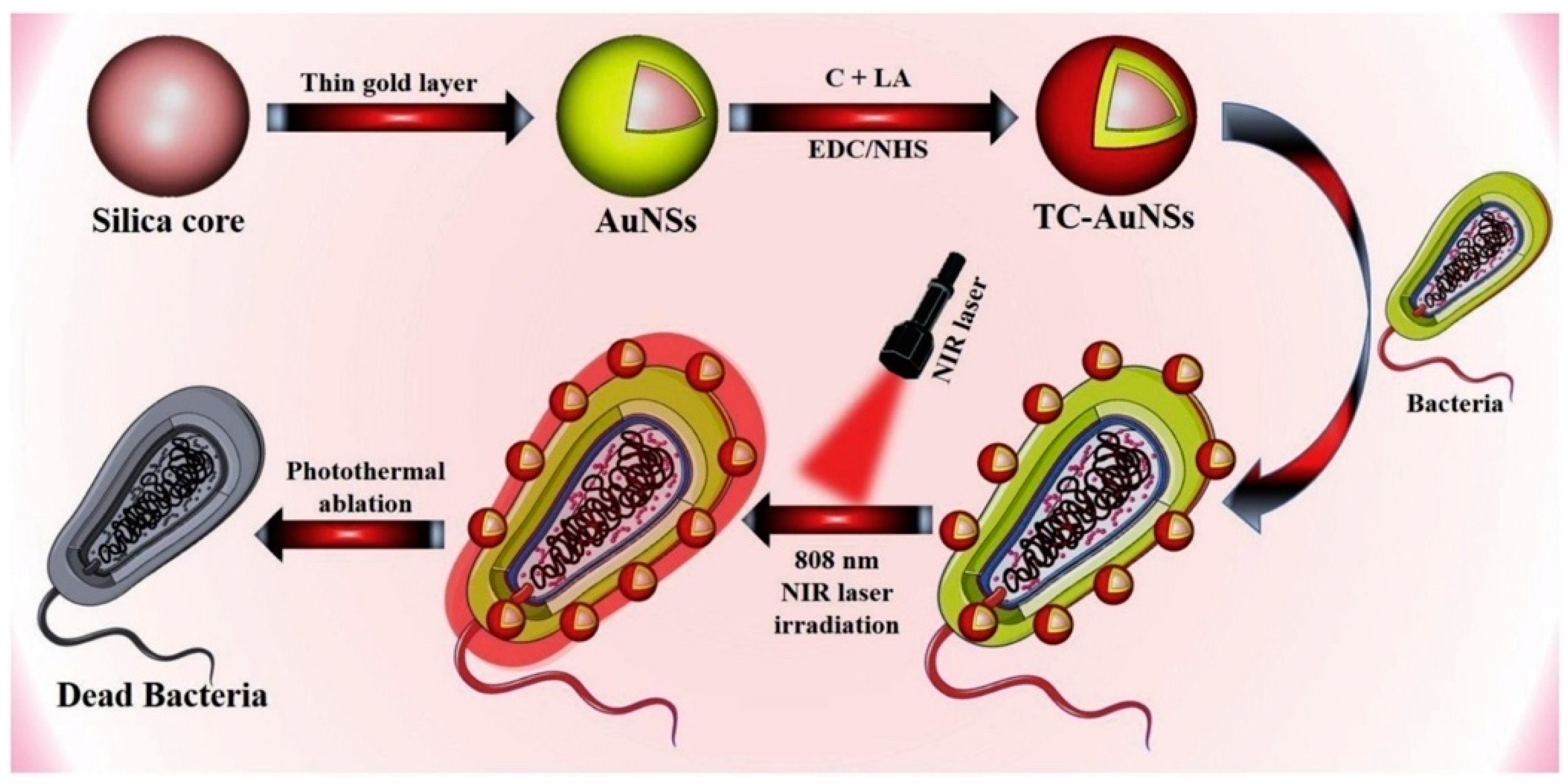 Nanomaterials 10 01123 g013