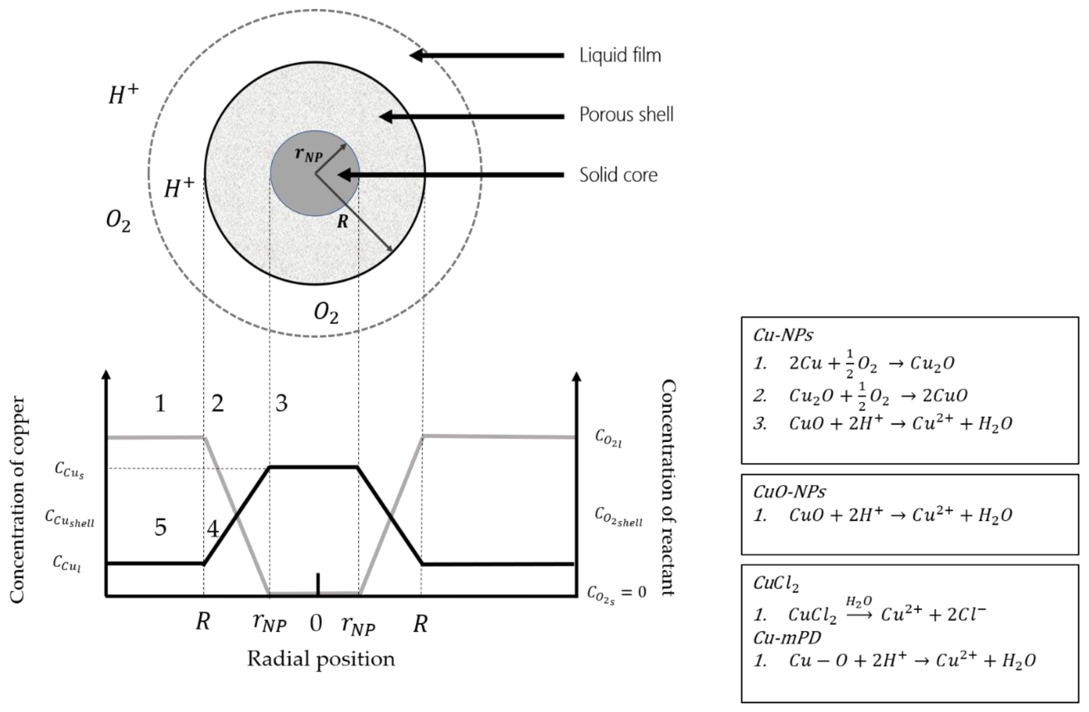 Nanomaterials 10 01130 g001