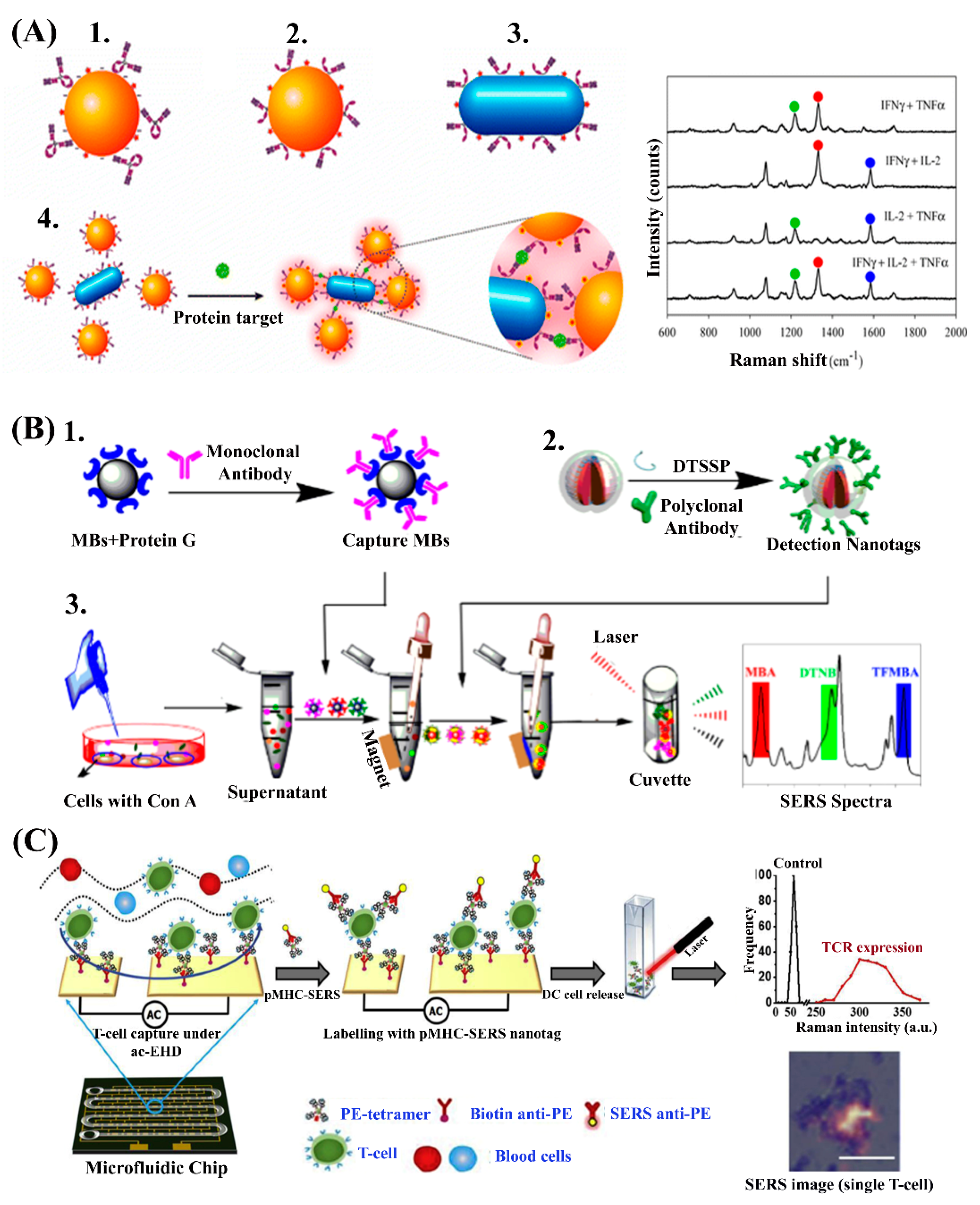 Nanomaterials 10 01145 g002