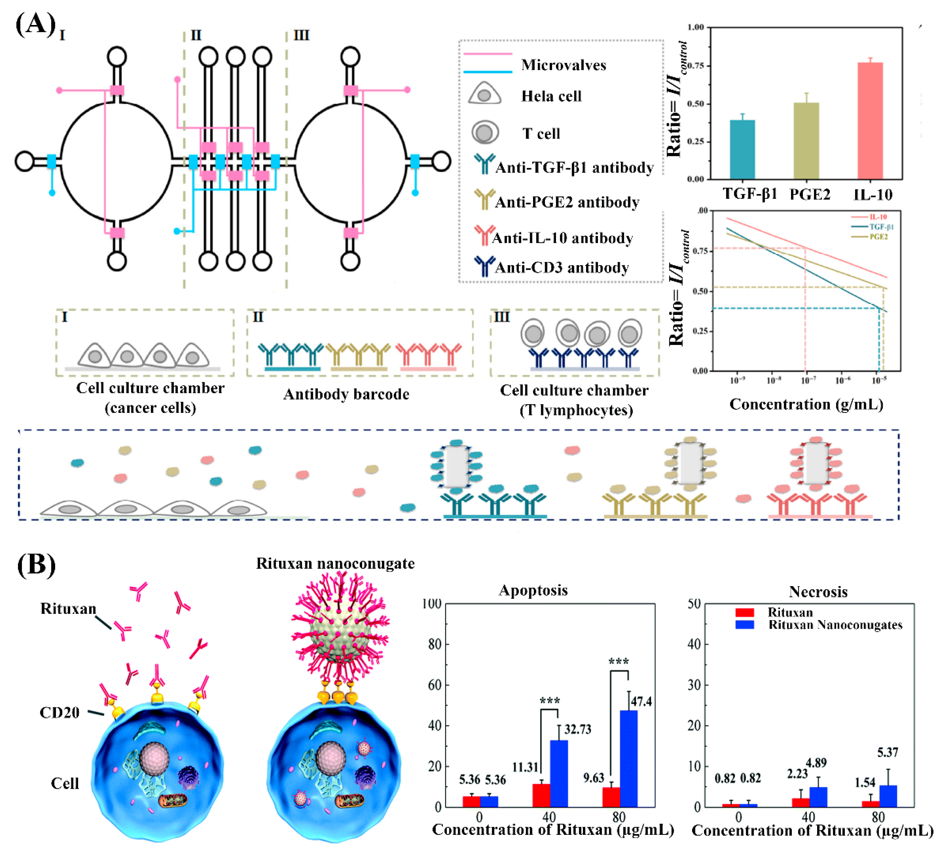 Nanomaterials 10 01145 g004