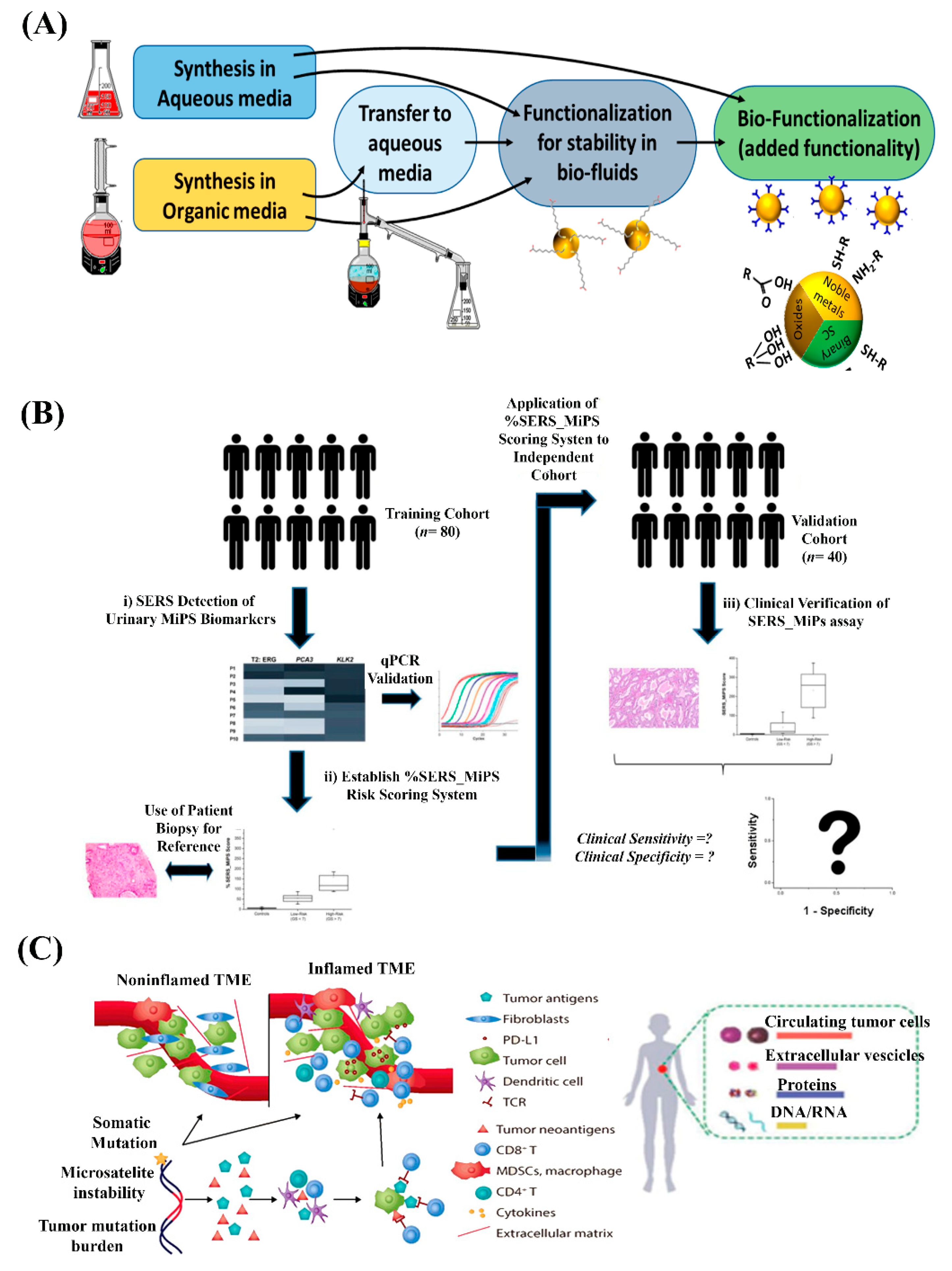 Nanomaterials 10 01145 g005