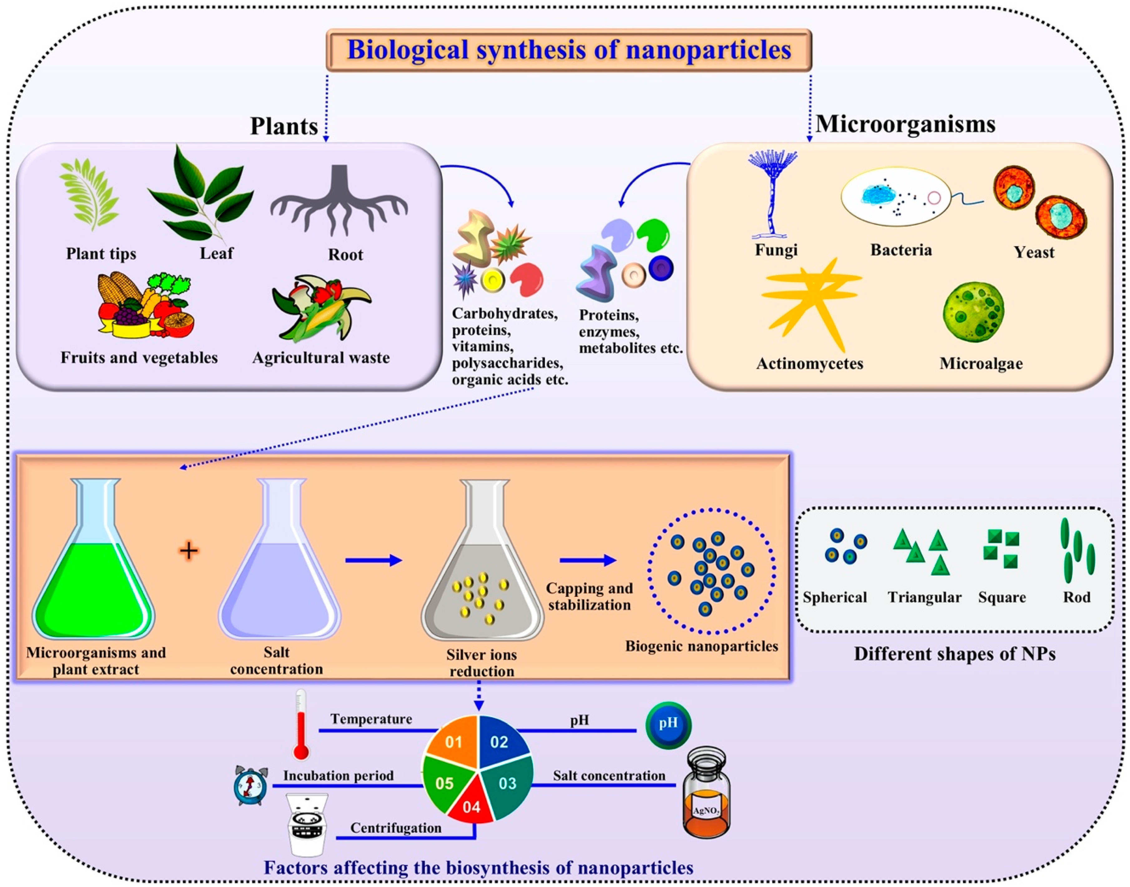 Nanomaterials 10 01146 g001 Nanomaterials 10 01146 g001