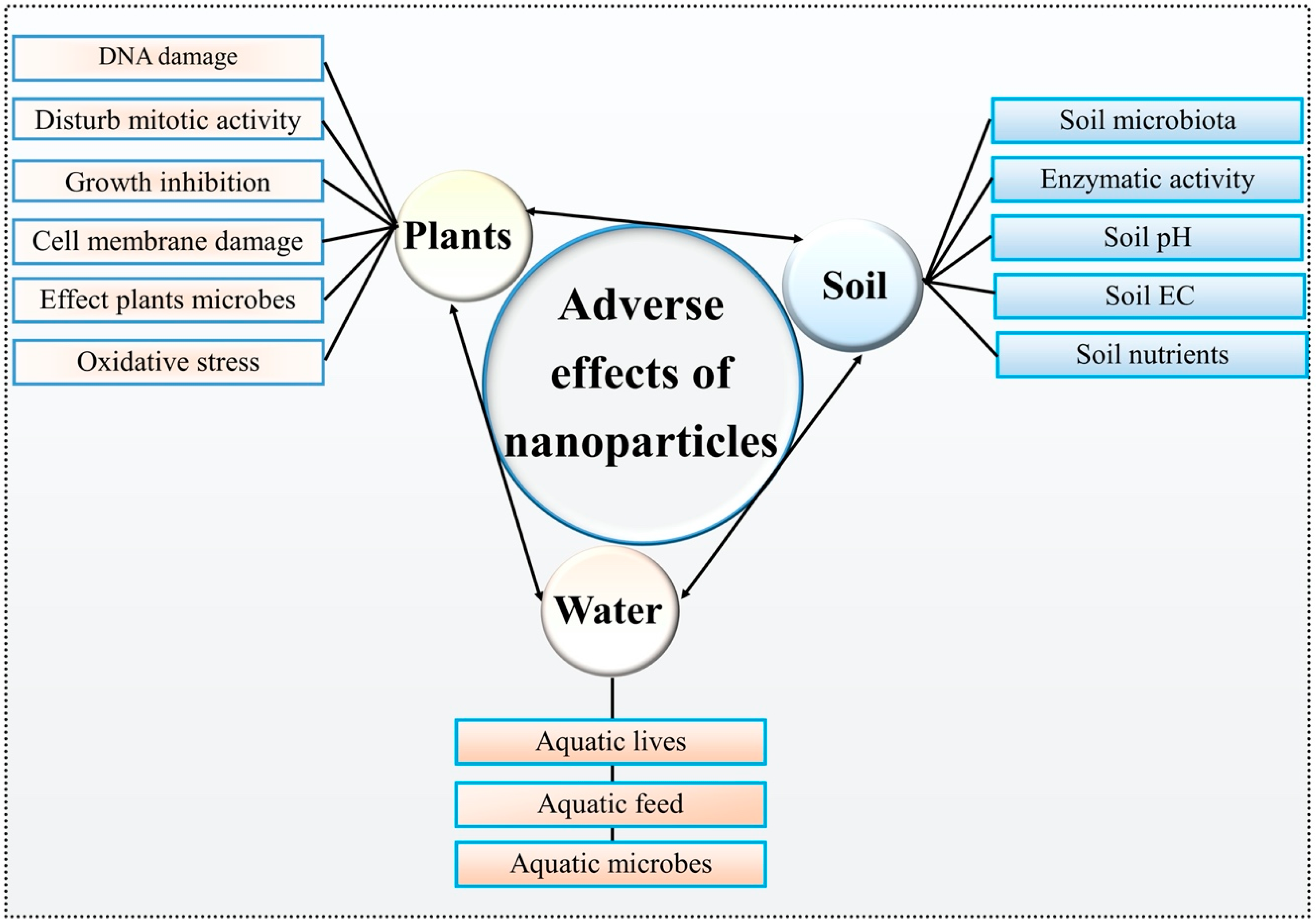 Nanomaterials 10 01146 g003 Nanomaterials 10 01146 g003
