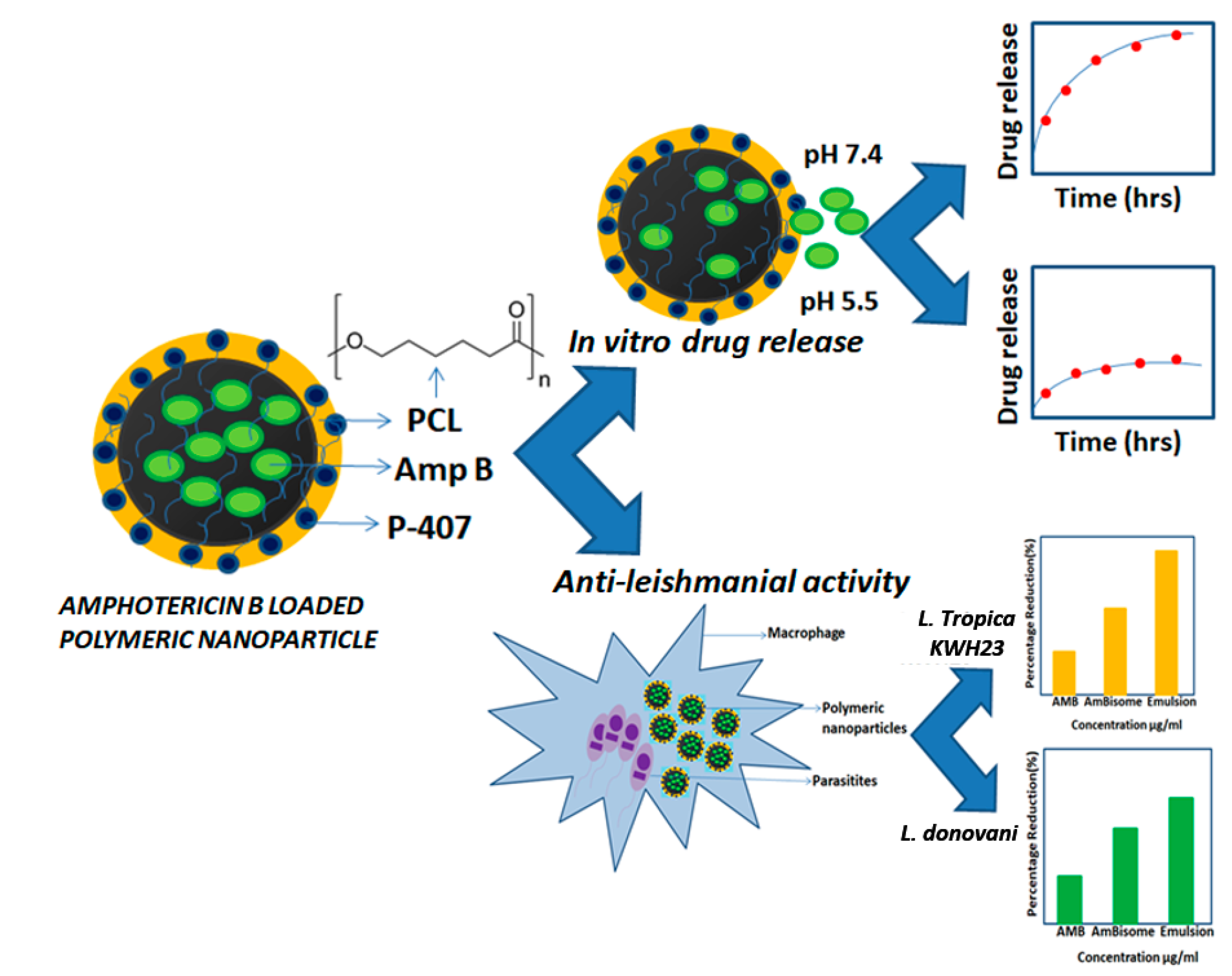 Nanomaterials 10 01152 g001 Nanomaterials 10 01152 g001