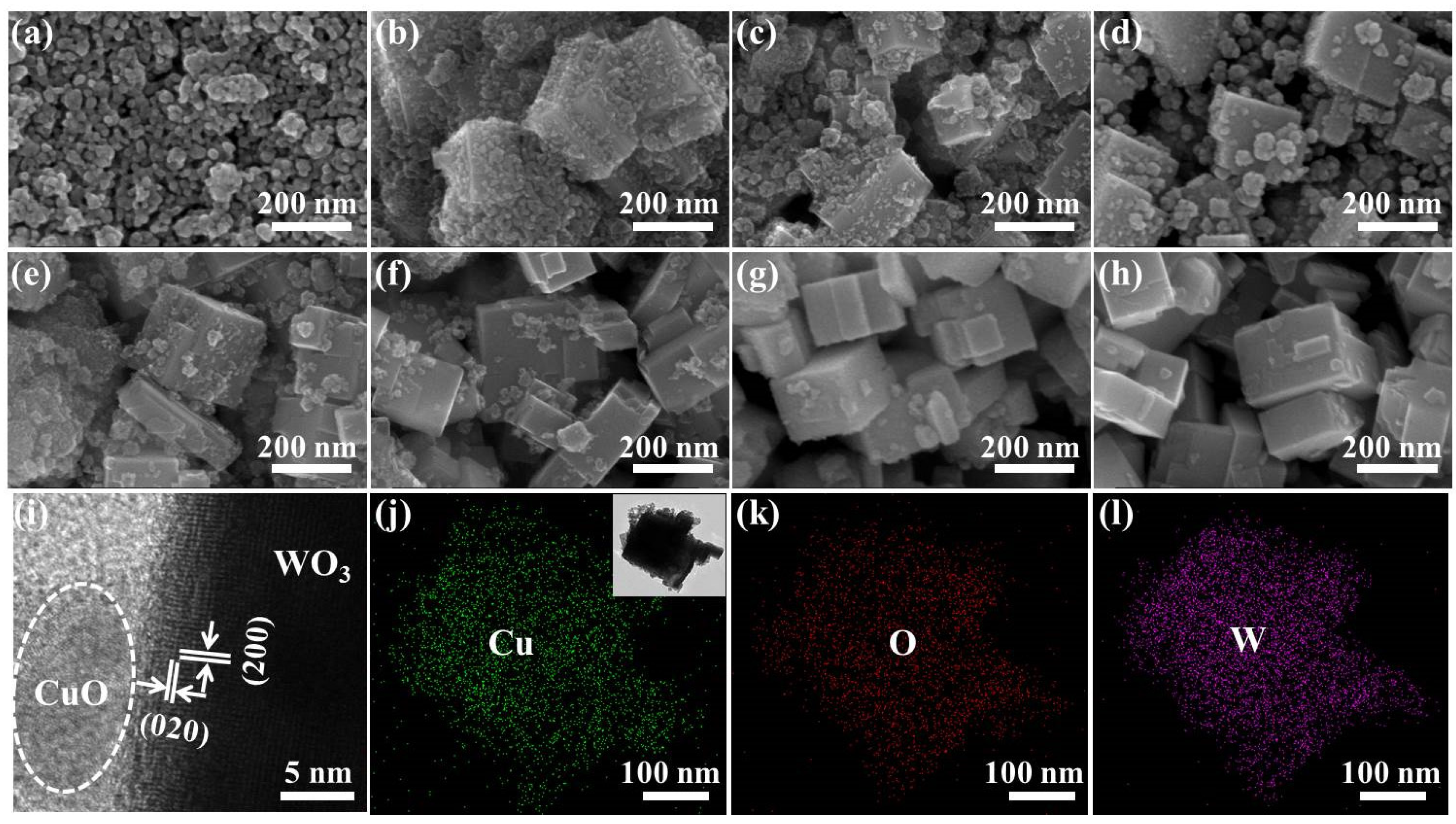 Nanomaterials 10 01162 g002