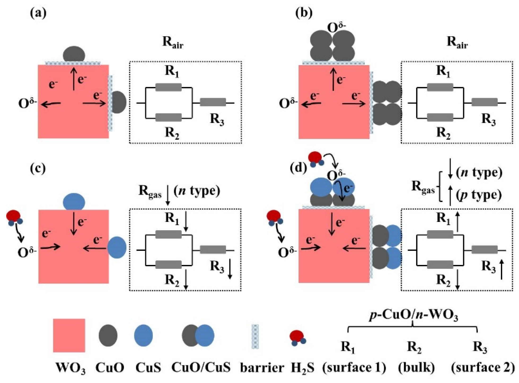 Nanomaterials 10 01162 g010
