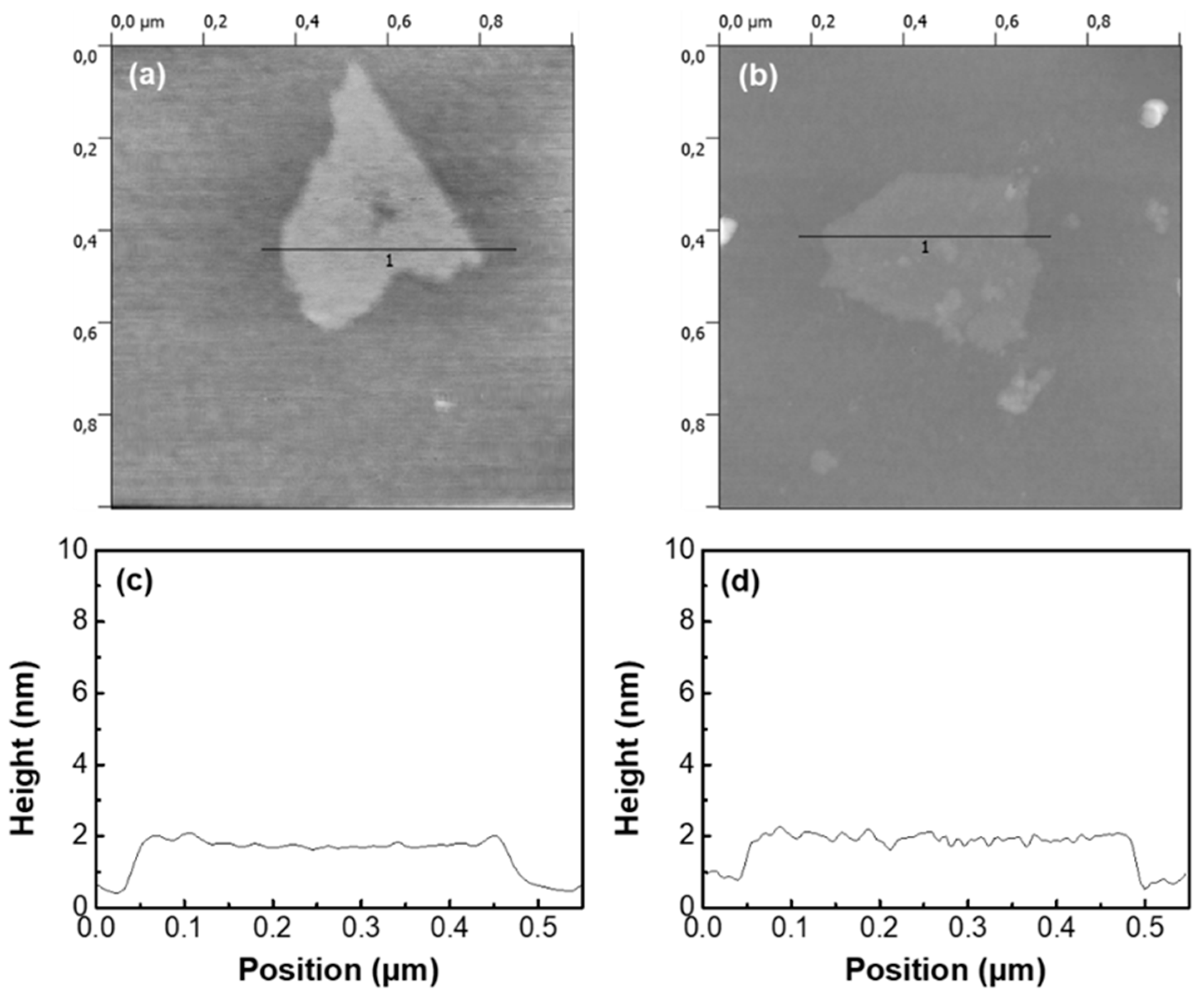 Nanomaterials 10 01171 g002