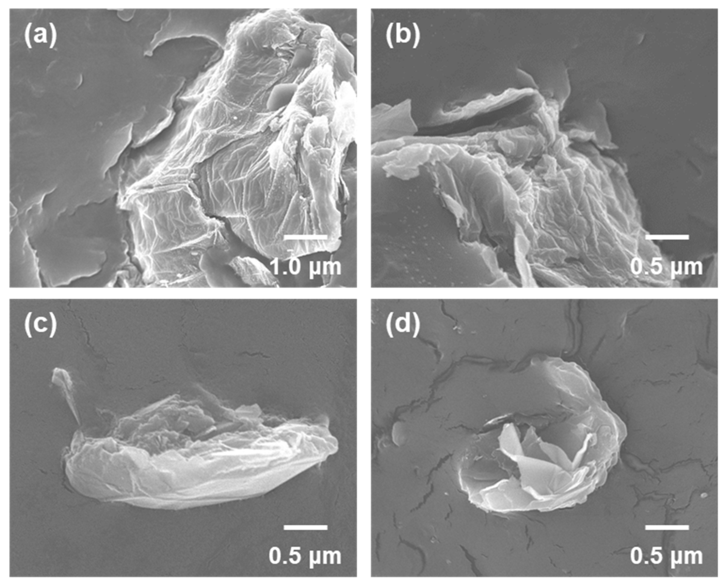 Nanomaterials 10 01171 g004