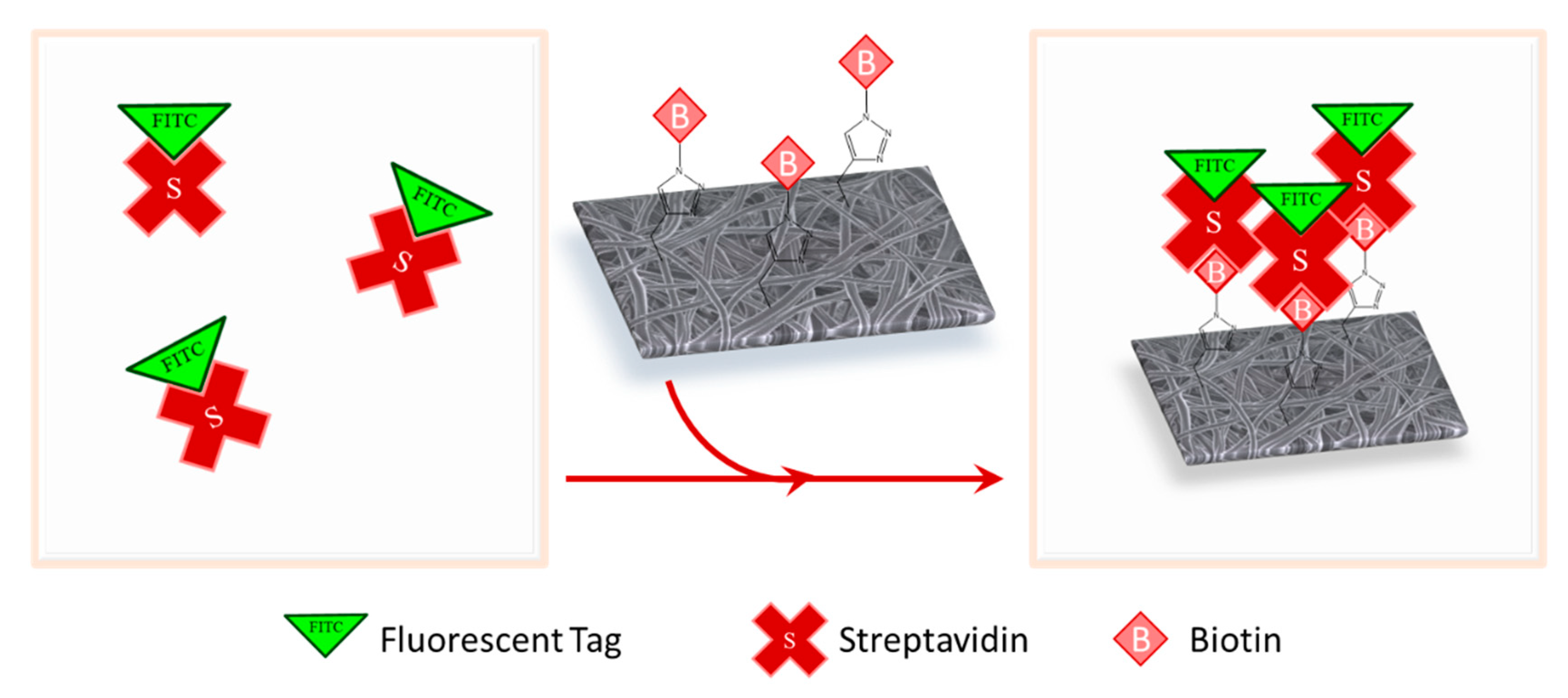 Nanomaterials 10 01172 g004