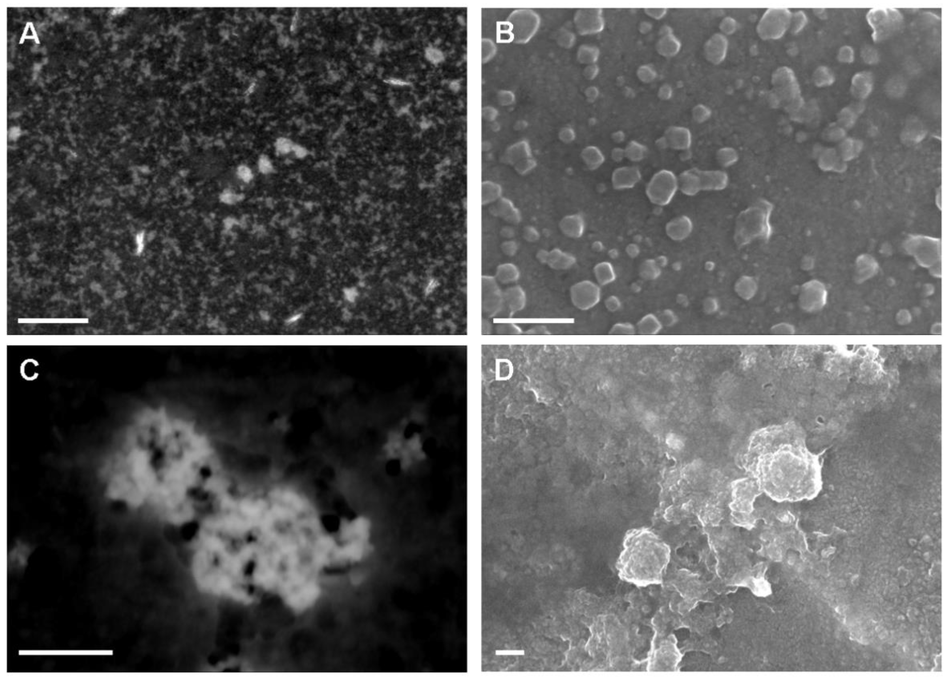 Nanomaterials 10 01174 g002 Nanomaterials 10 01174 g002