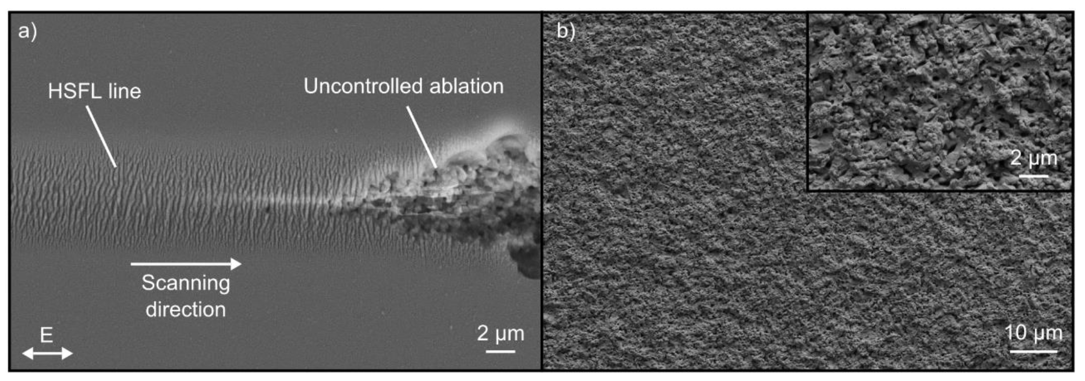 Nanomaterials 10 01187 g004