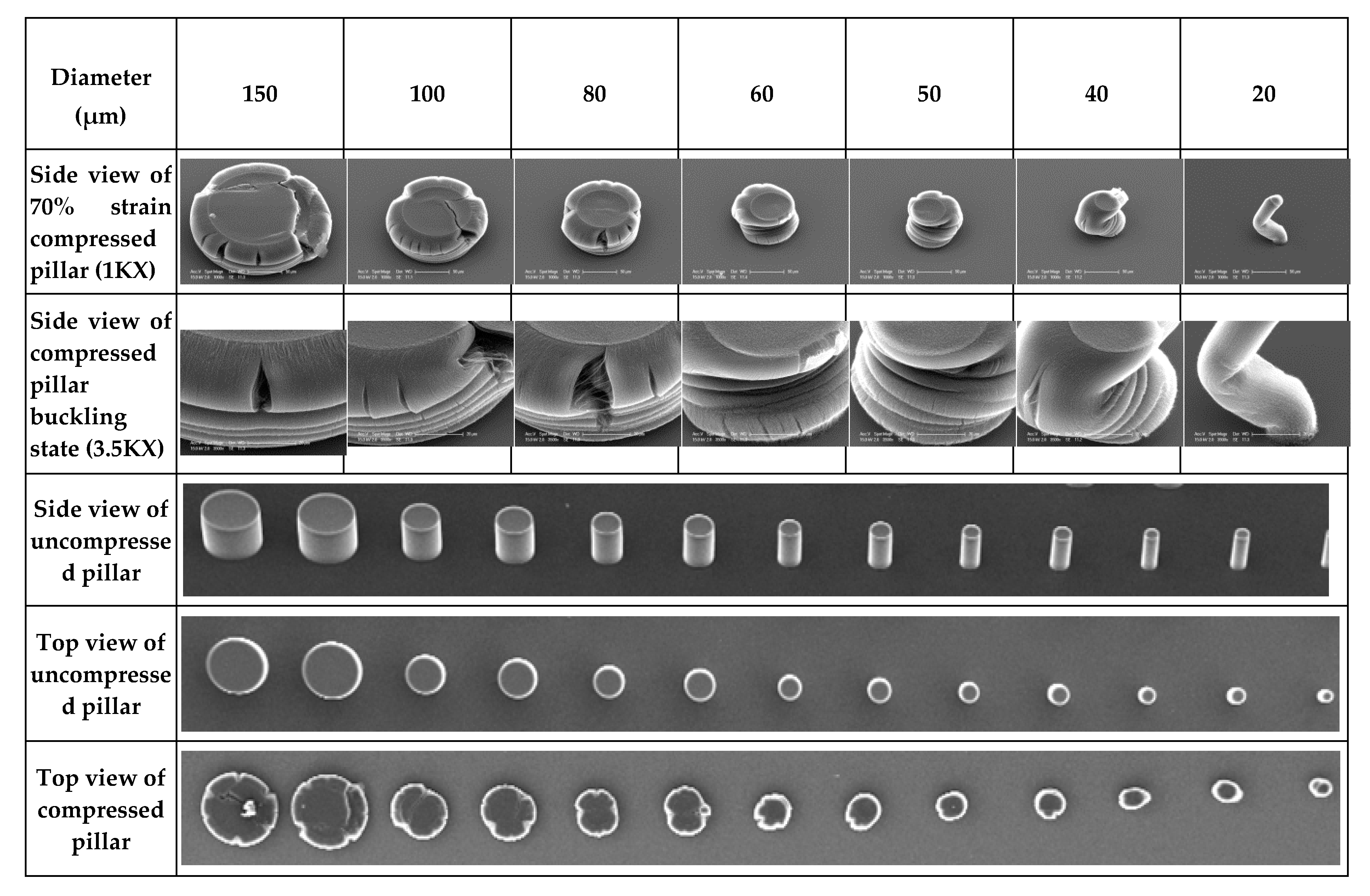 Nanomaterials 10 01189 g005 Nanomaterials 10 01189 g005