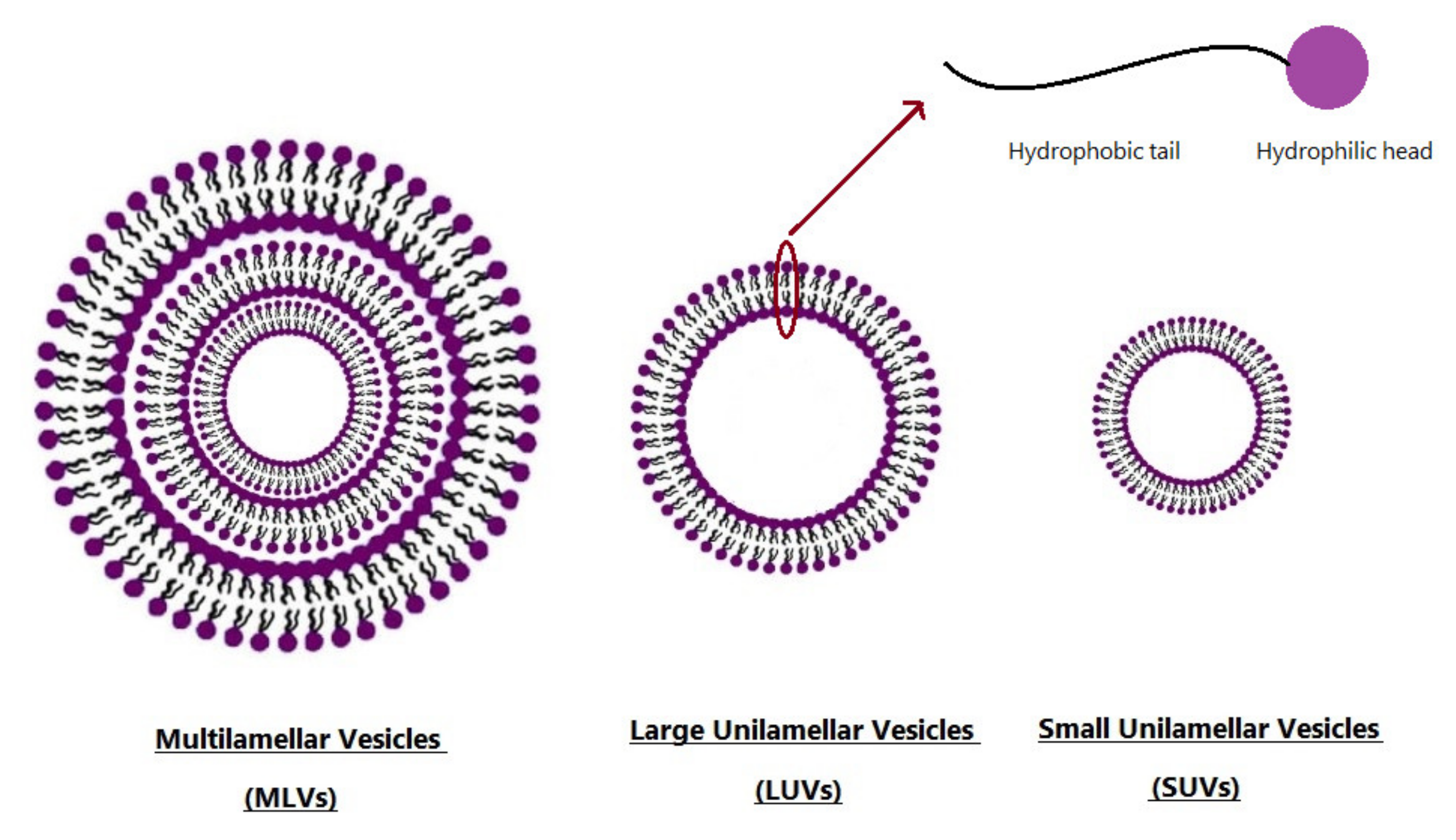 Nanomaterials 10 01191 g002