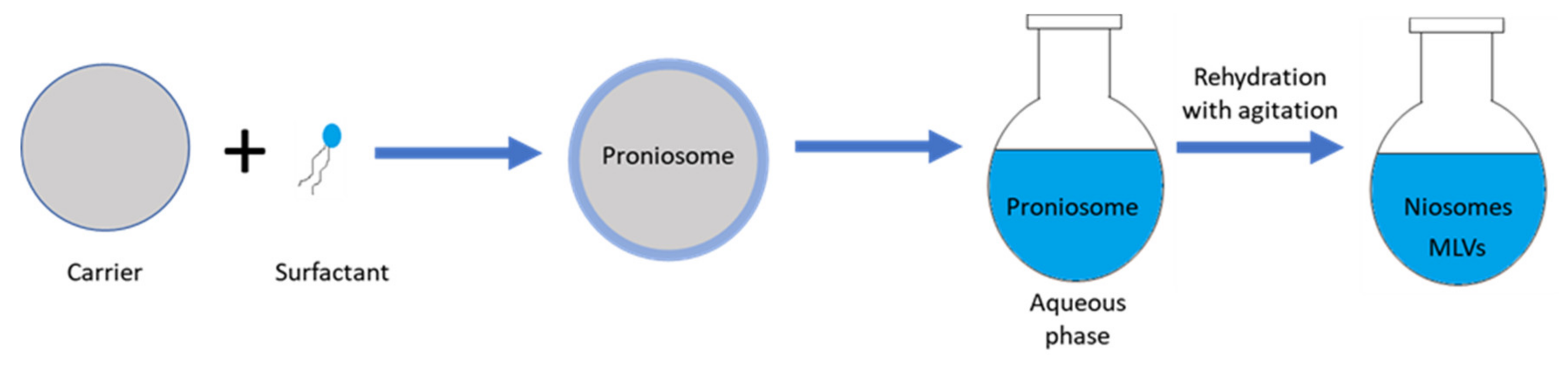 Nanomaterials 10 01191 g006