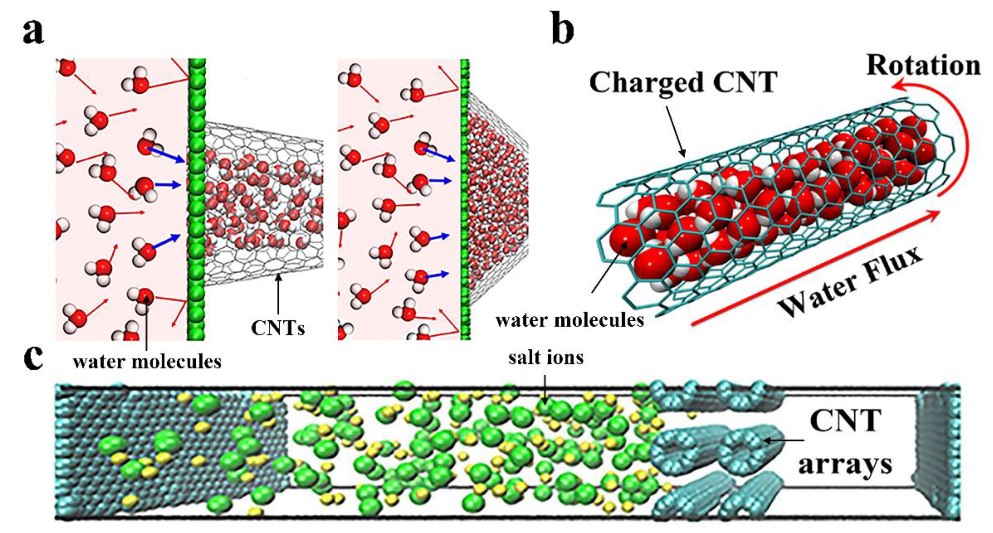 Nanomaterials 10 01203 g004