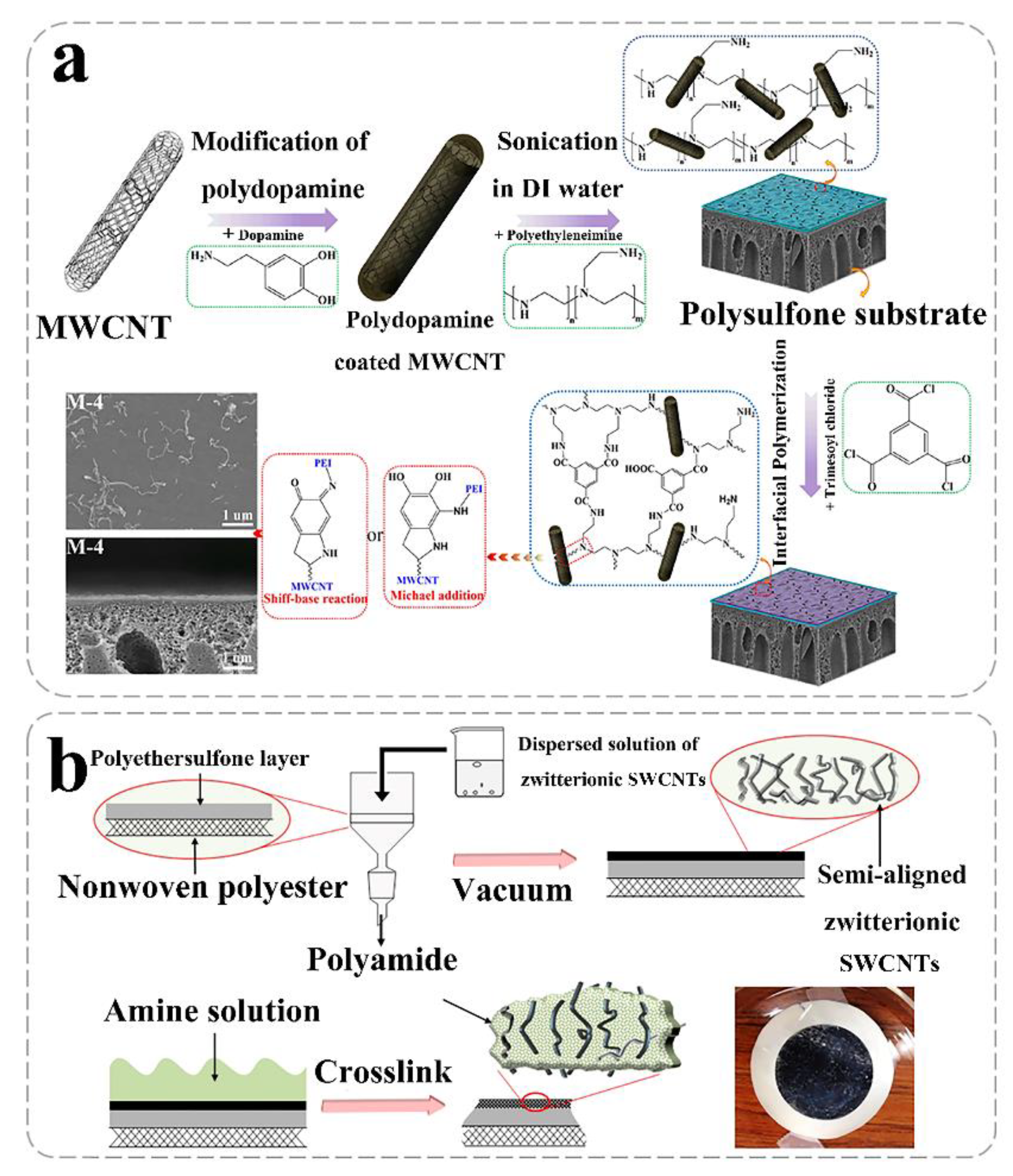 Nanomaterials 10 01203 g005