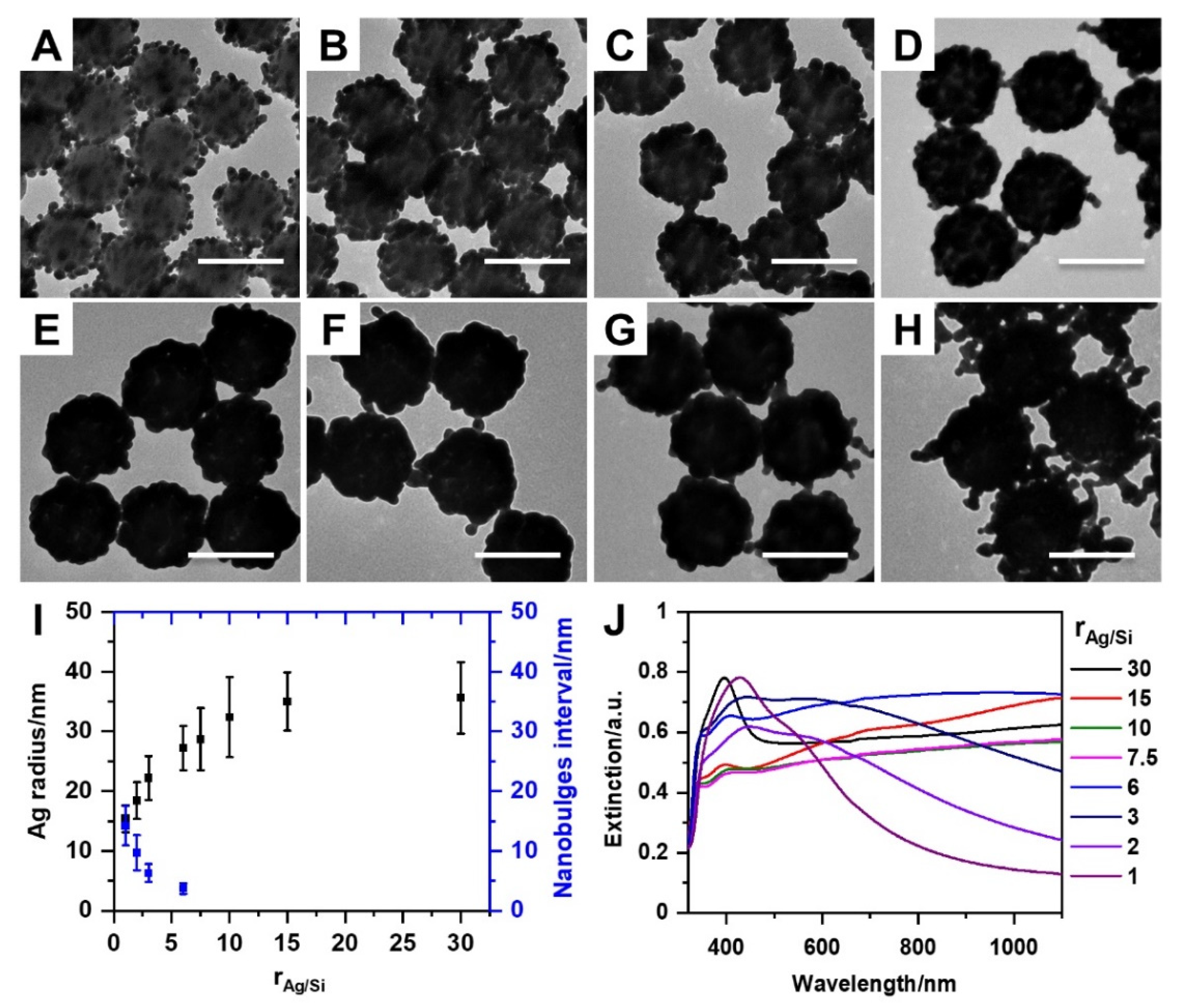Nanomaterials 10 01205 g001