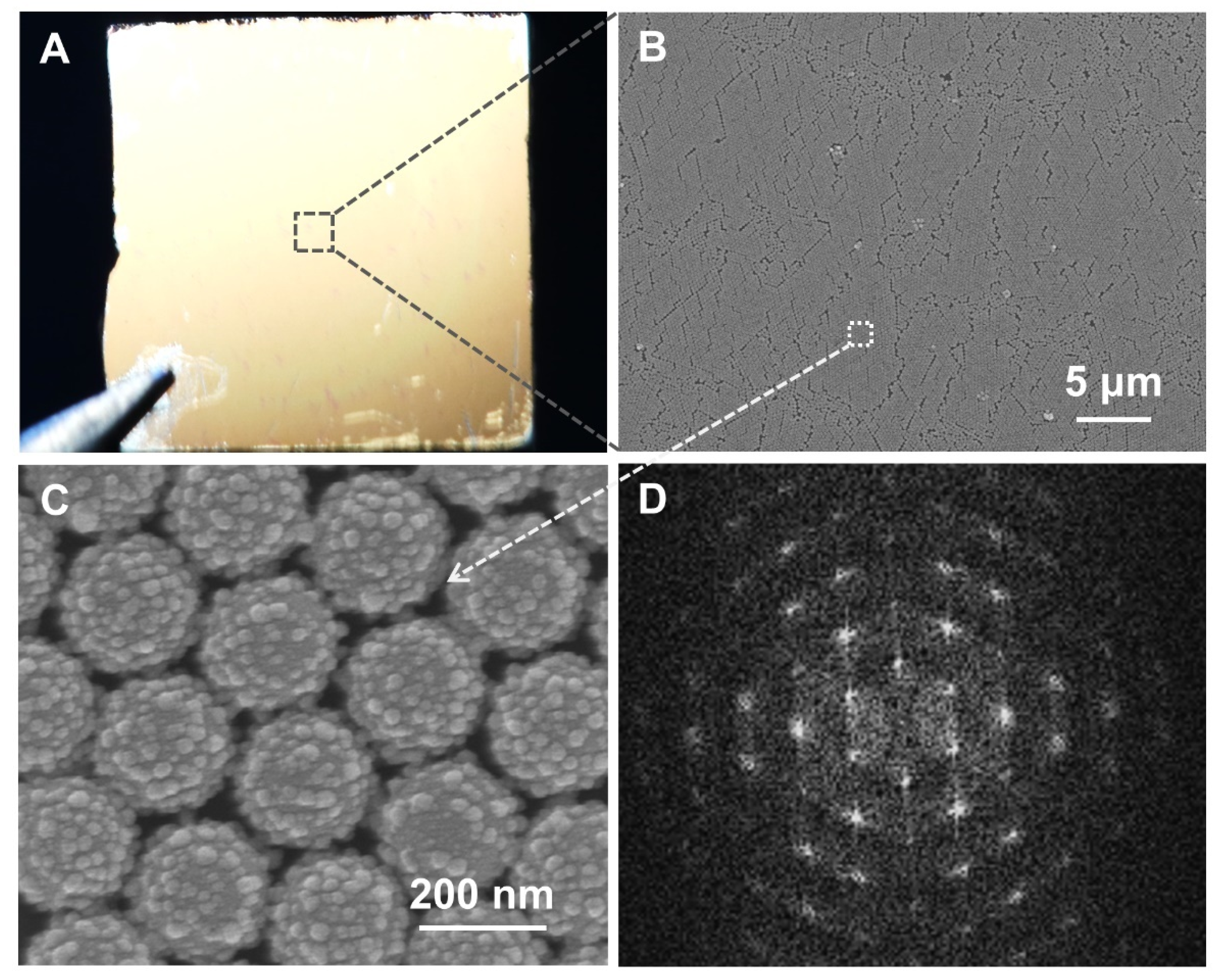 Nanomaterials 10 01205 g003