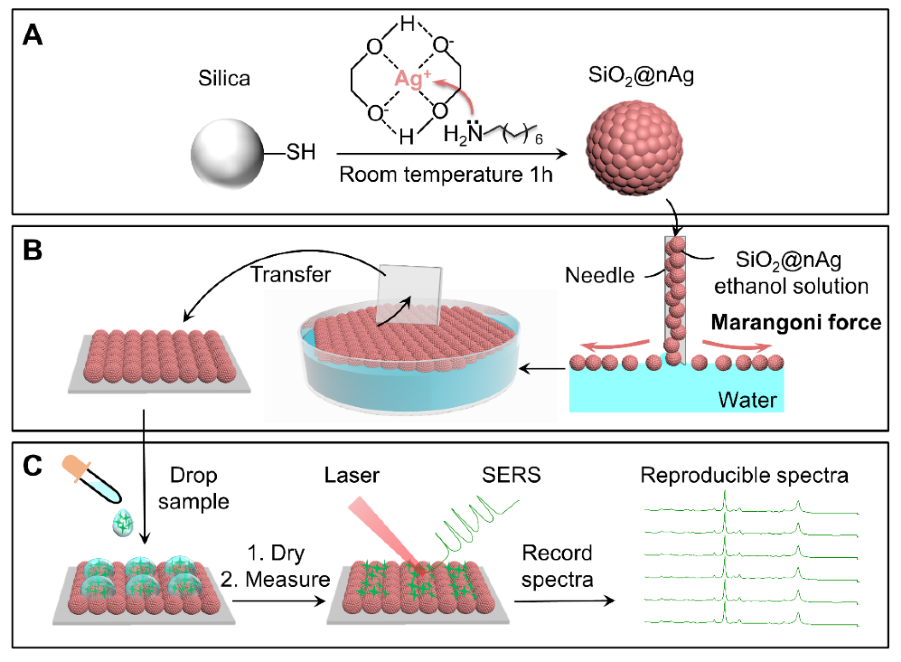 Nanomaterials 10 01205 sch001