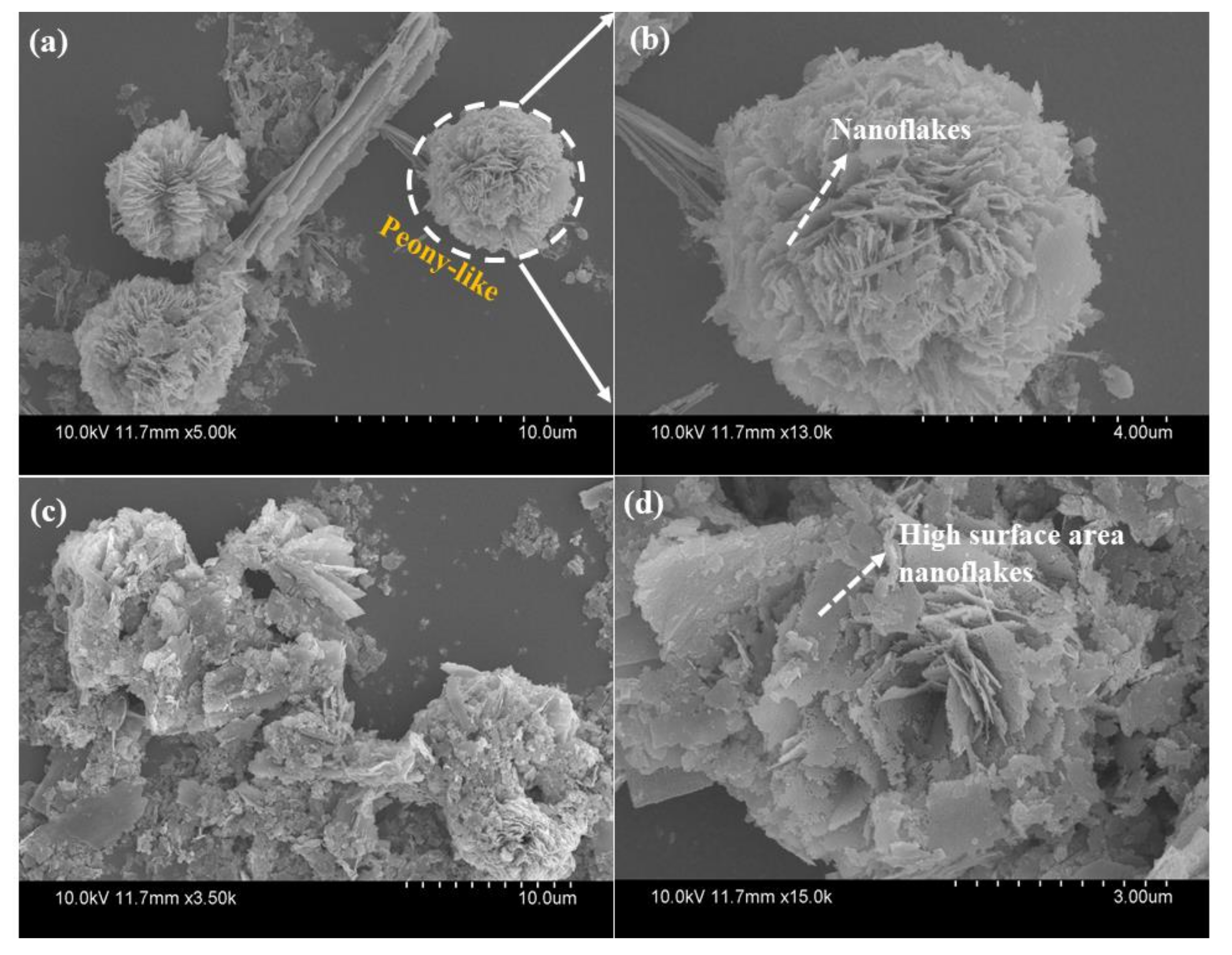 Nanomaterials 10 01206 g002